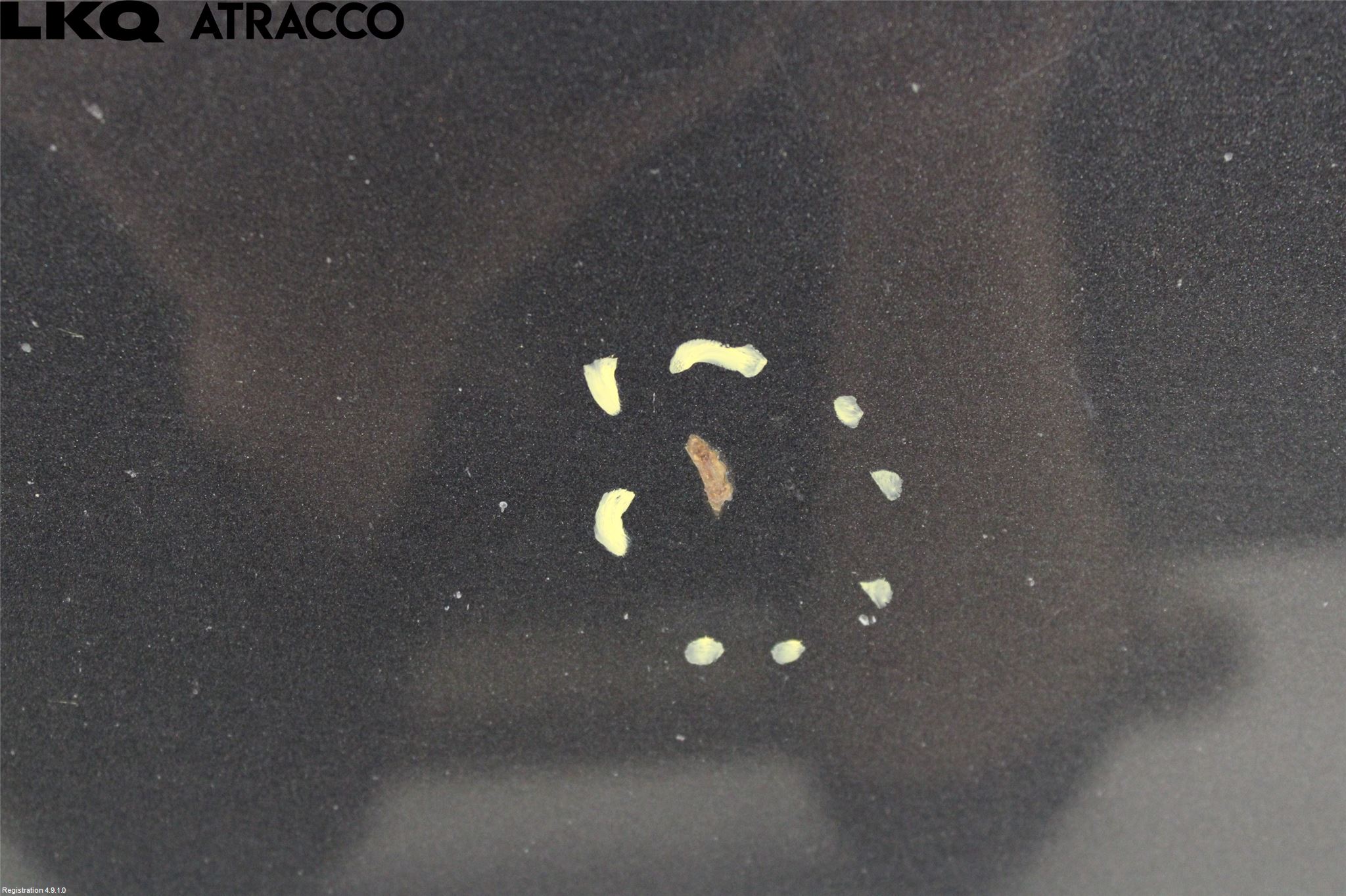 Ford GALAXY 06-15 Panser
