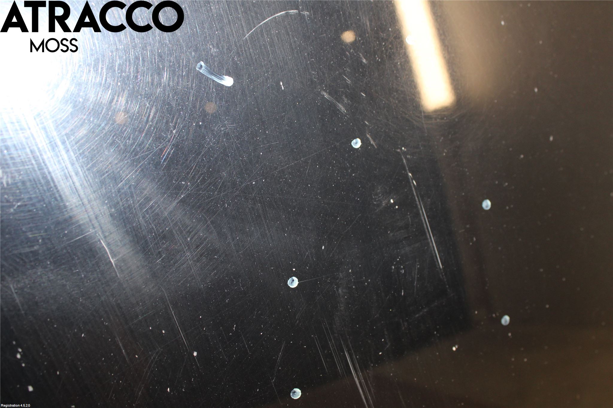 Audi A6/S6     05-11 Panser