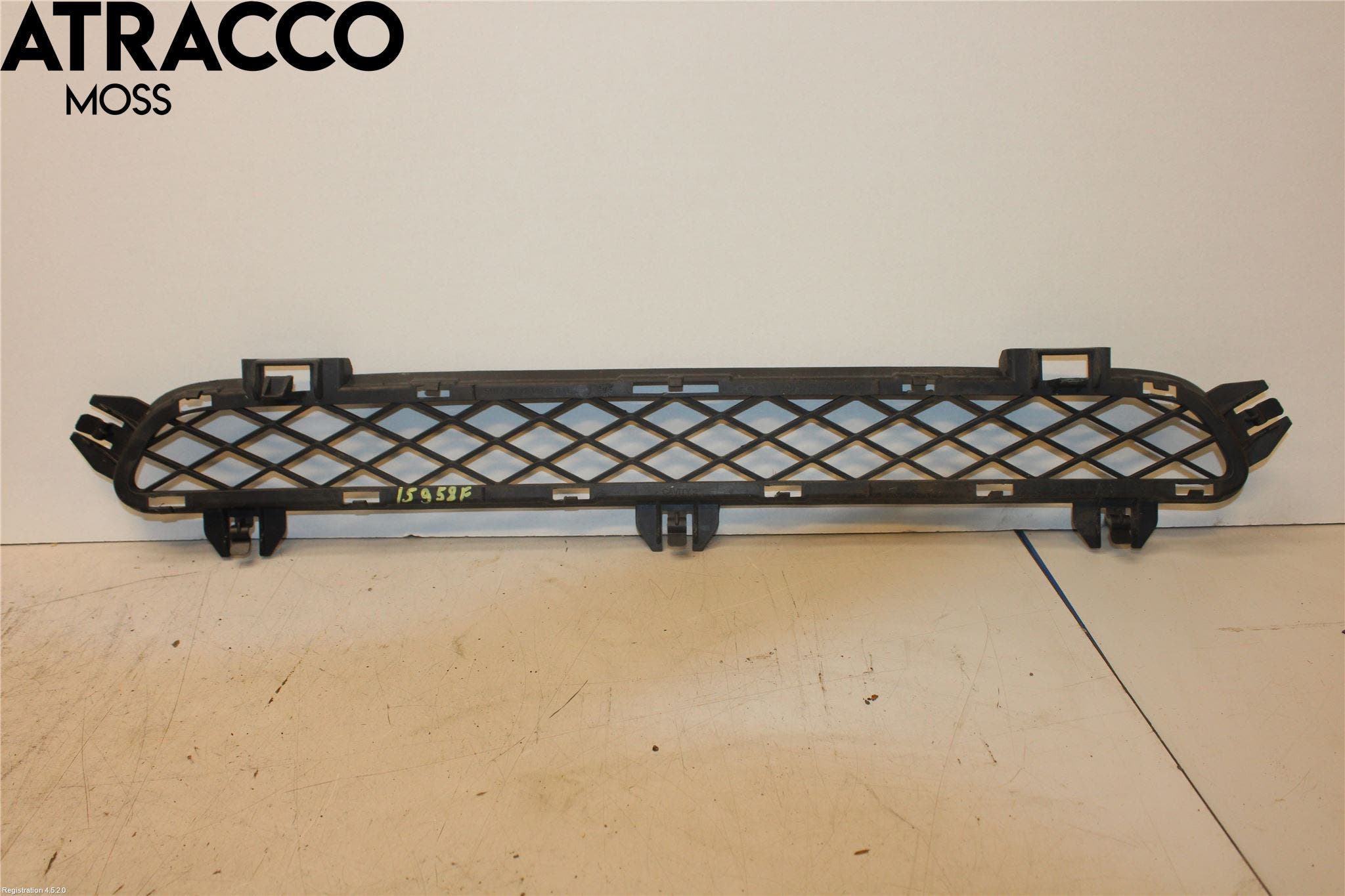 BMW X3 F25 10-17 Grill-Gitter