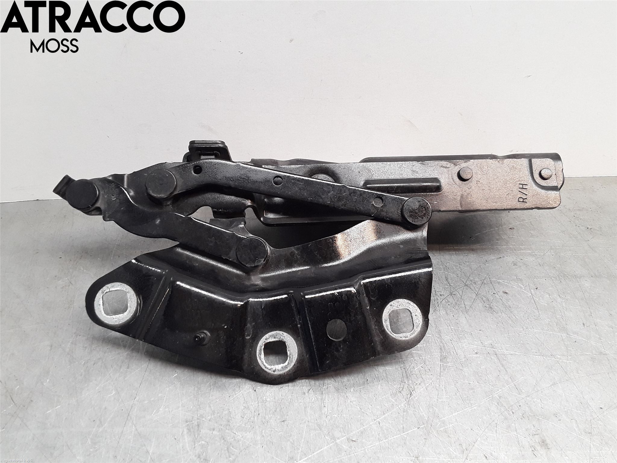 Jaguar I-PACE 18- Panser Hengsel - Hengsler