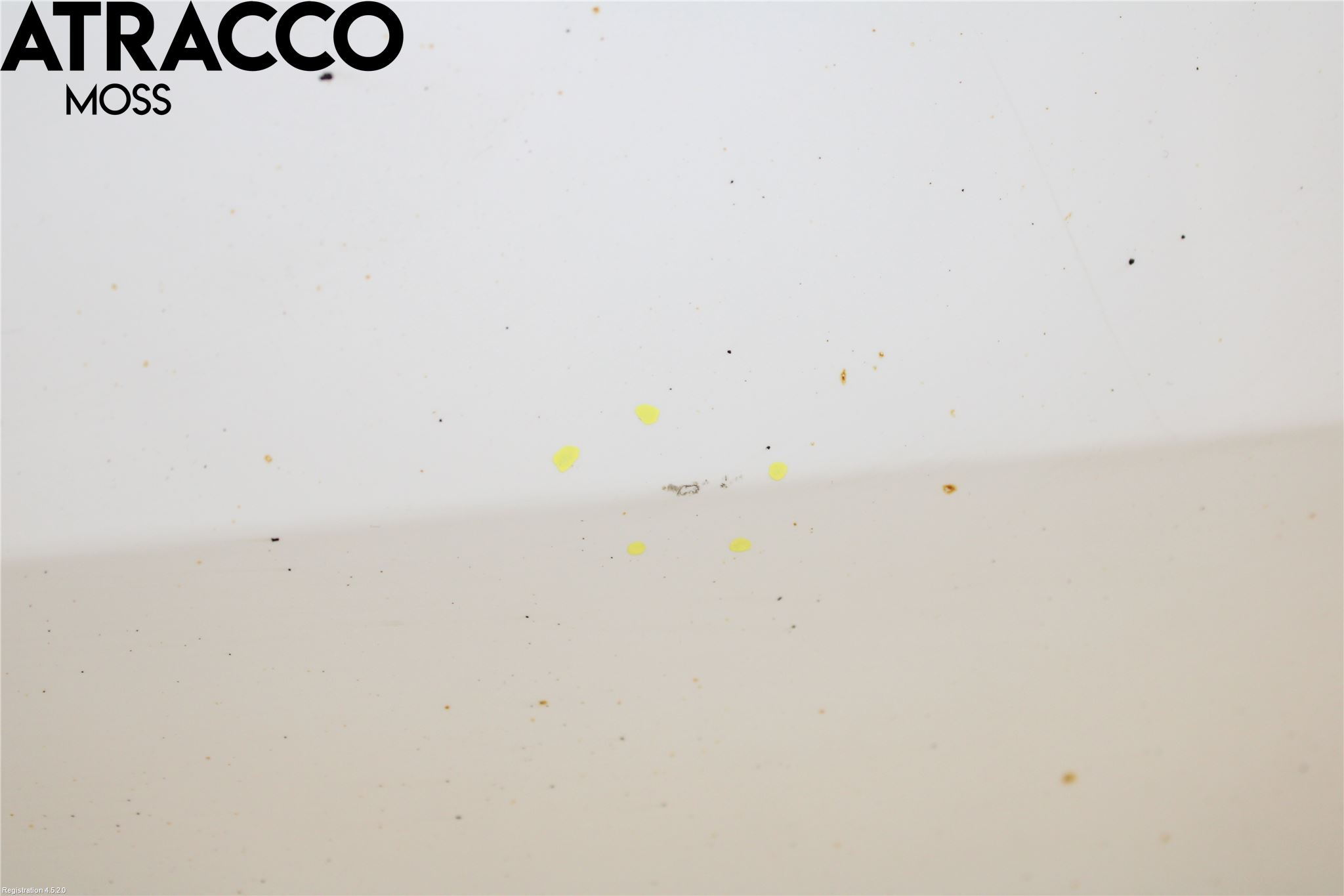 Volkswagen VW UP! / E-UP! Dør 4D Foran Venstre