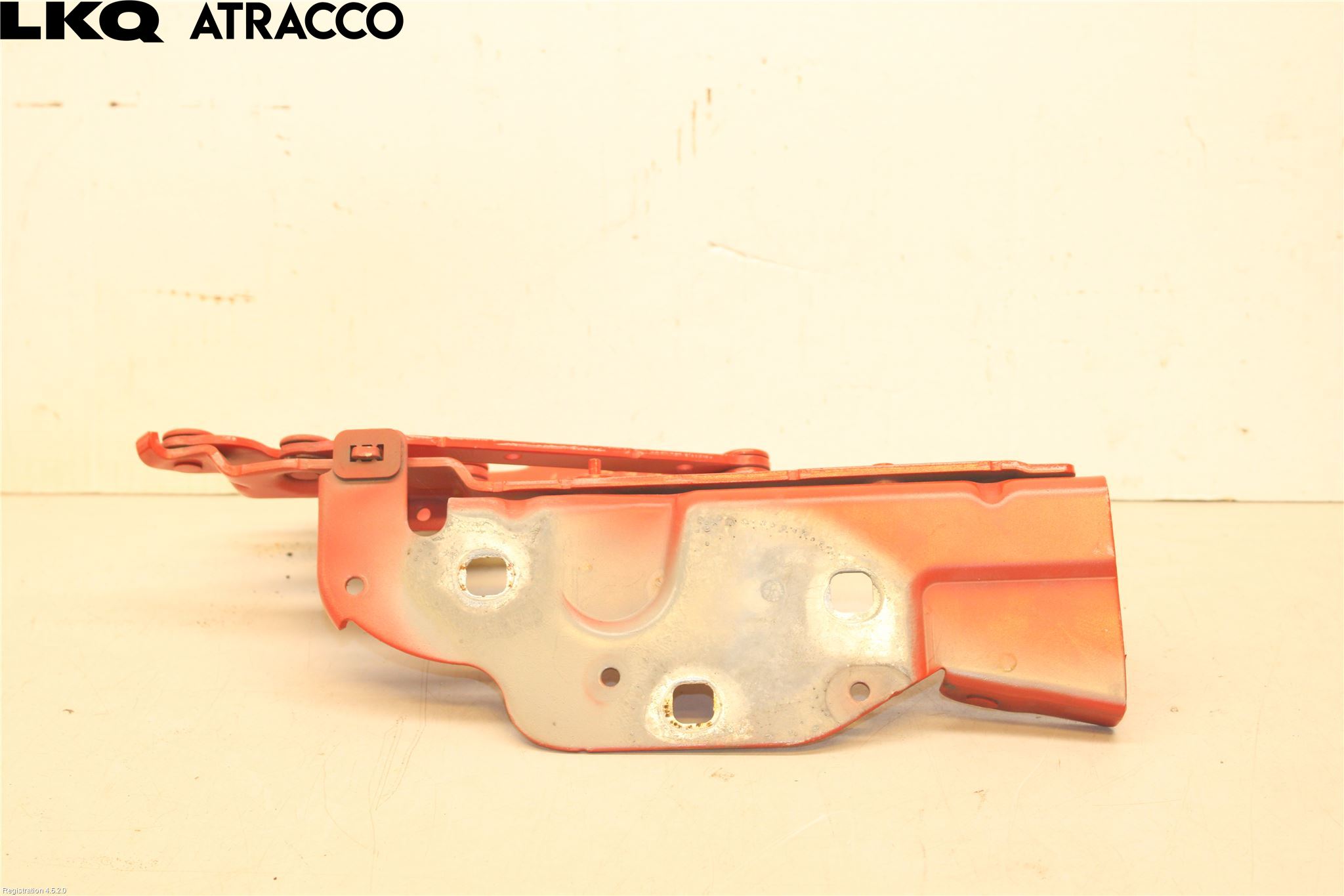 Jaguar I-PACE 18- Panser Hengsel - Hengsler