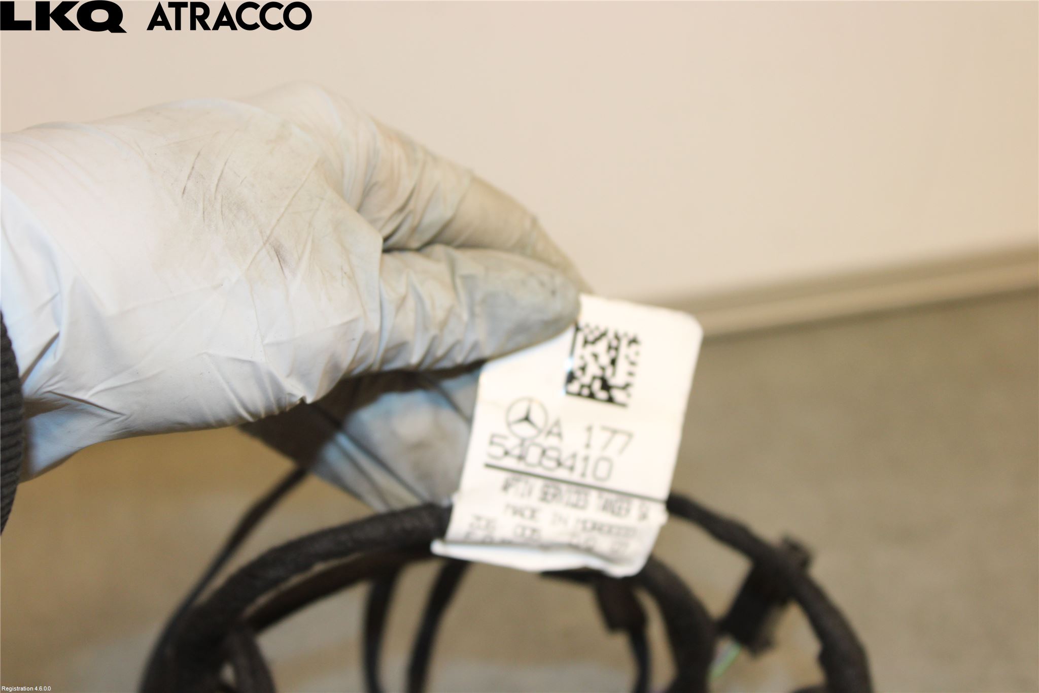 Mercedes-Benz MB EQB (X243) 22- Ledningsnett