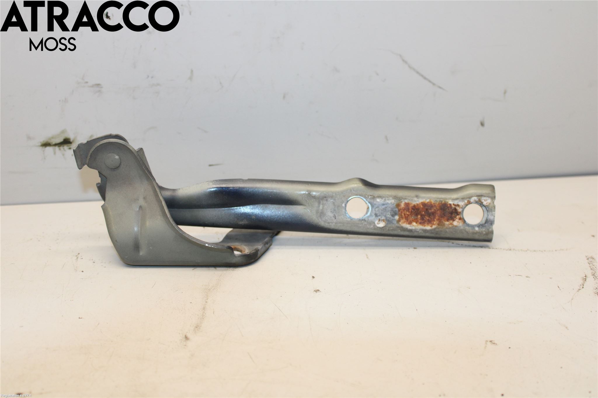 Volkswagen VW TIGUAN 07-16 Panser Hengsel - Hengsler