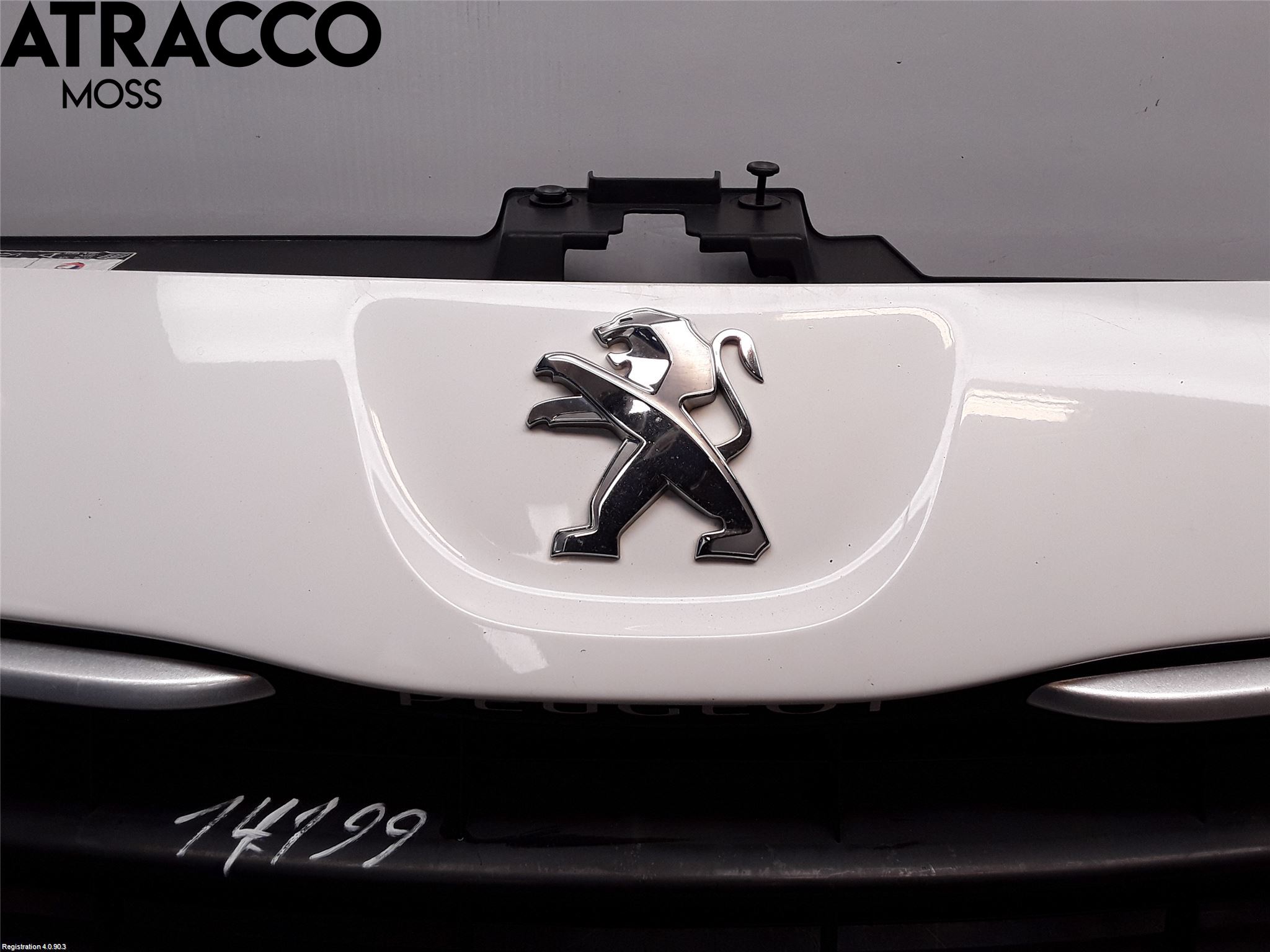 Peugeot EXPERT 07-14 Grill Komplett