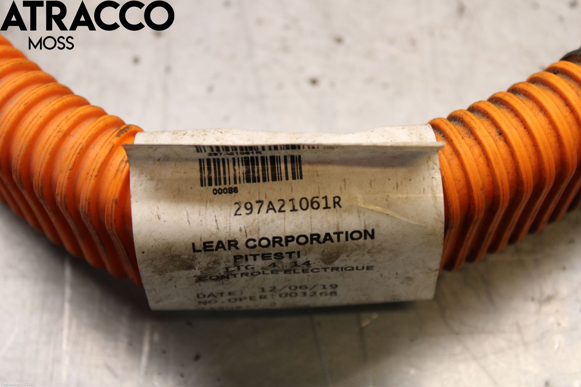 Renault ZOE/E-TECH 13- Ledningsnett