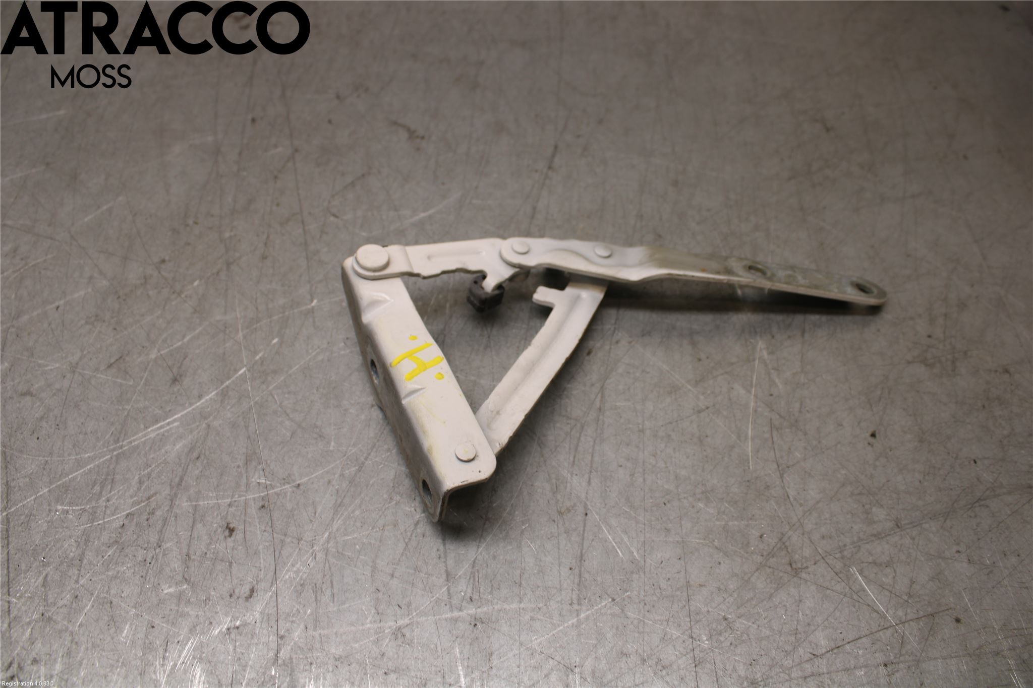 Volkswagen VW TRANSP/CARAVELLE (T6) 16-22 Panser Hengsel - Hengsler