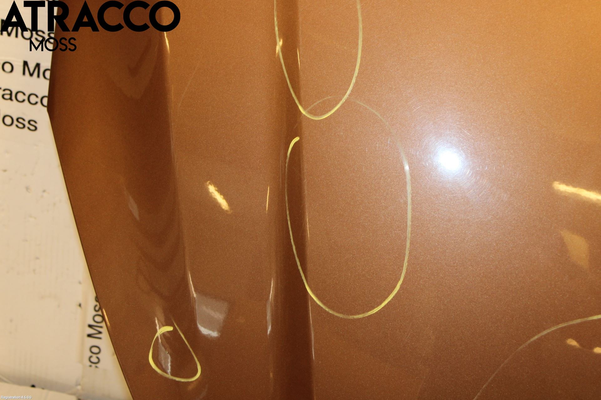 Ford FOCUS 11-14 Panser