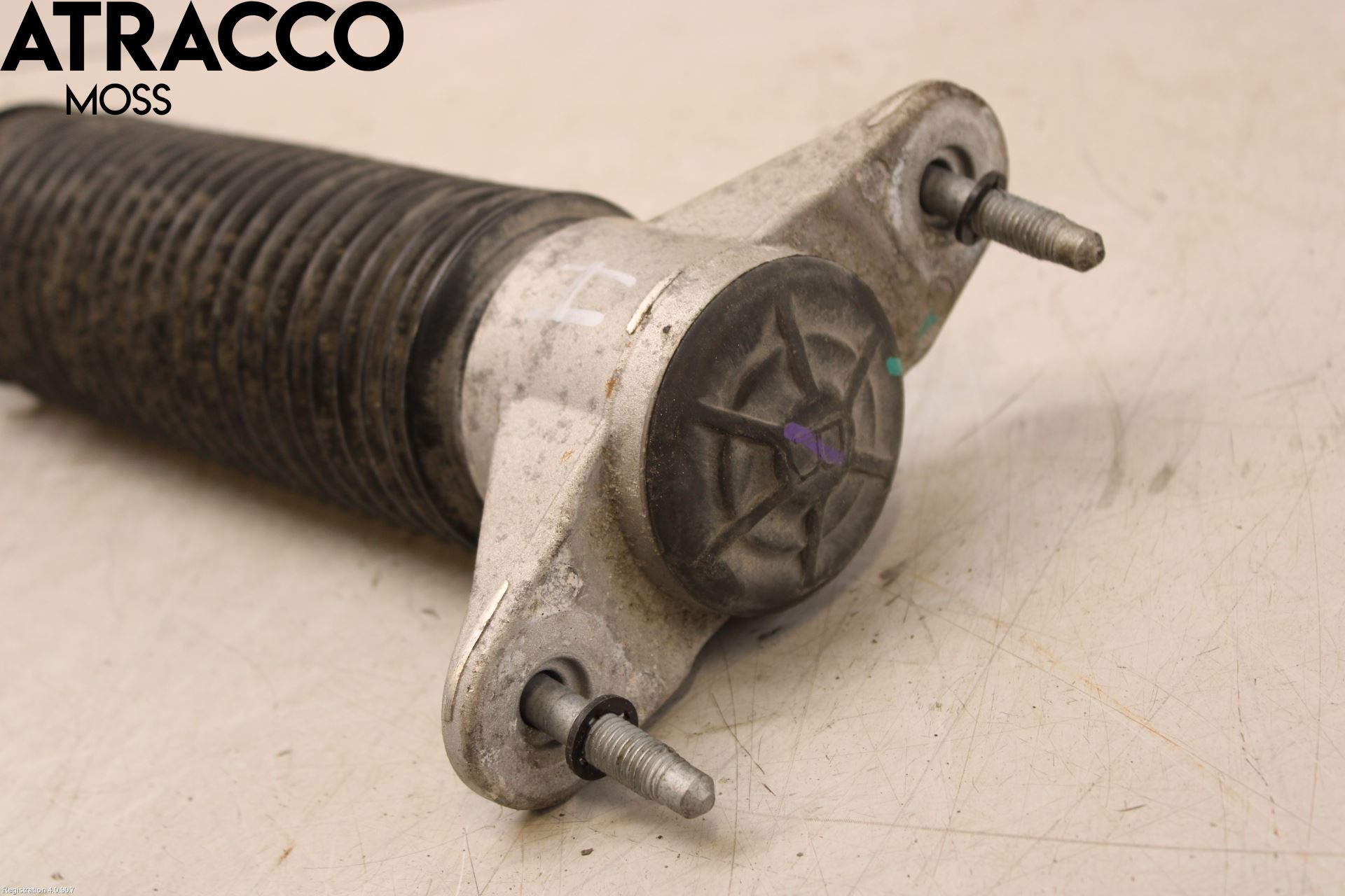 Tesla MODEL Y 21- Støtdemper Bak