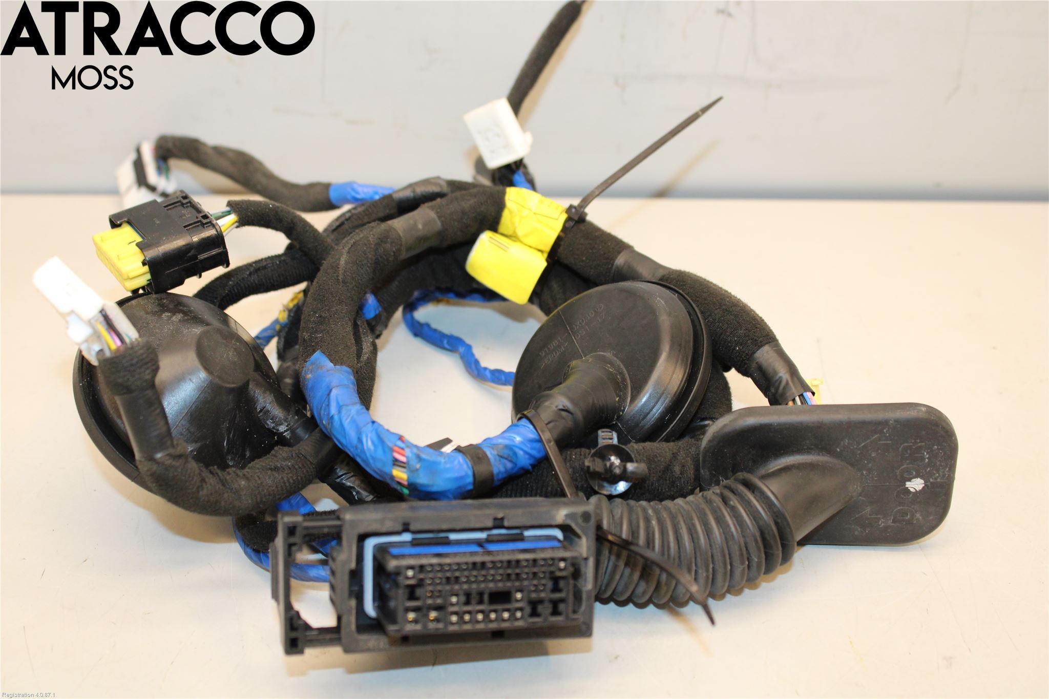 Hyundai IONIQ AE 17-22 Ledningsnett