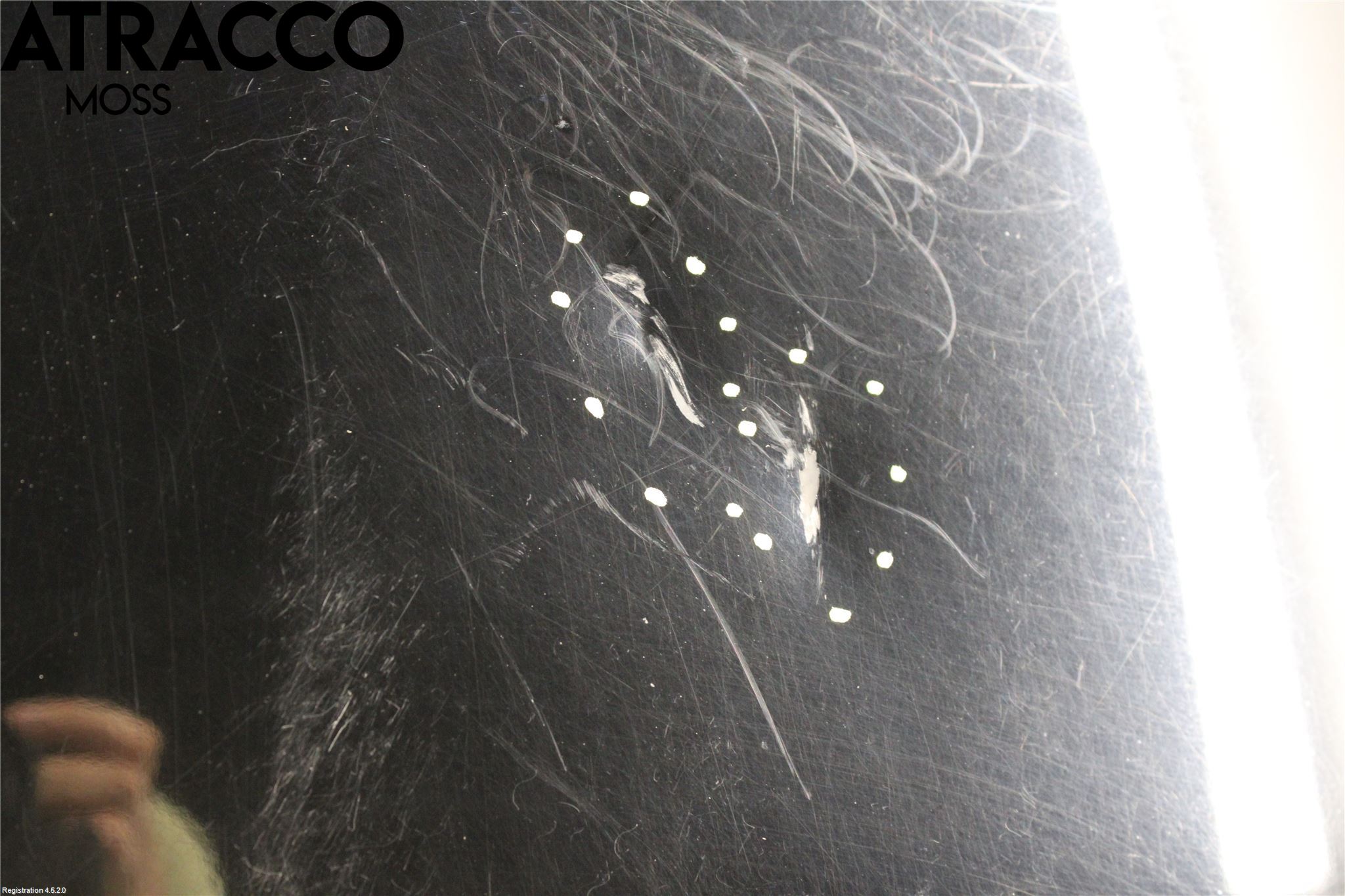 Toyota RAV 4 06-12 Panser