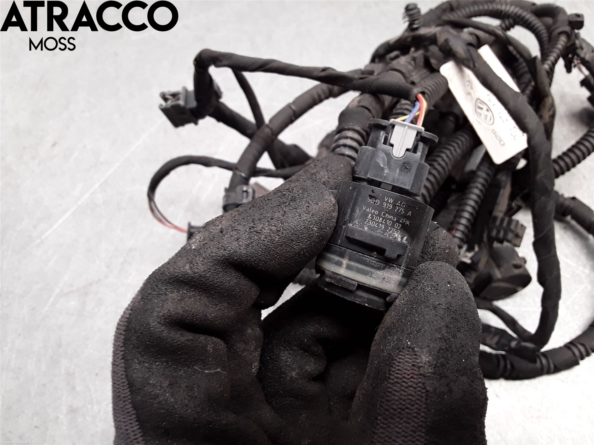 Volkswagen VW T-ROC 18- Ledningsnett