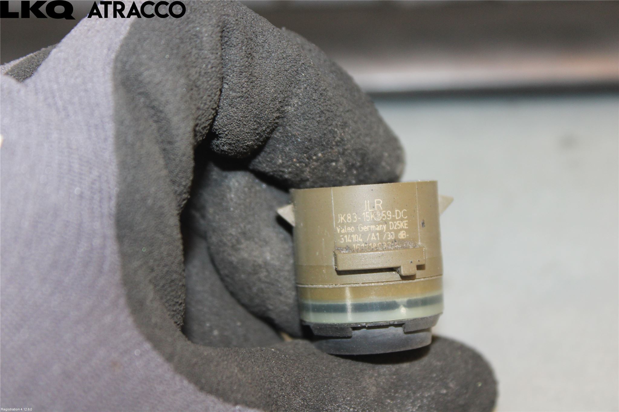 Jaguar F-PACE Sensor Ryggesensor