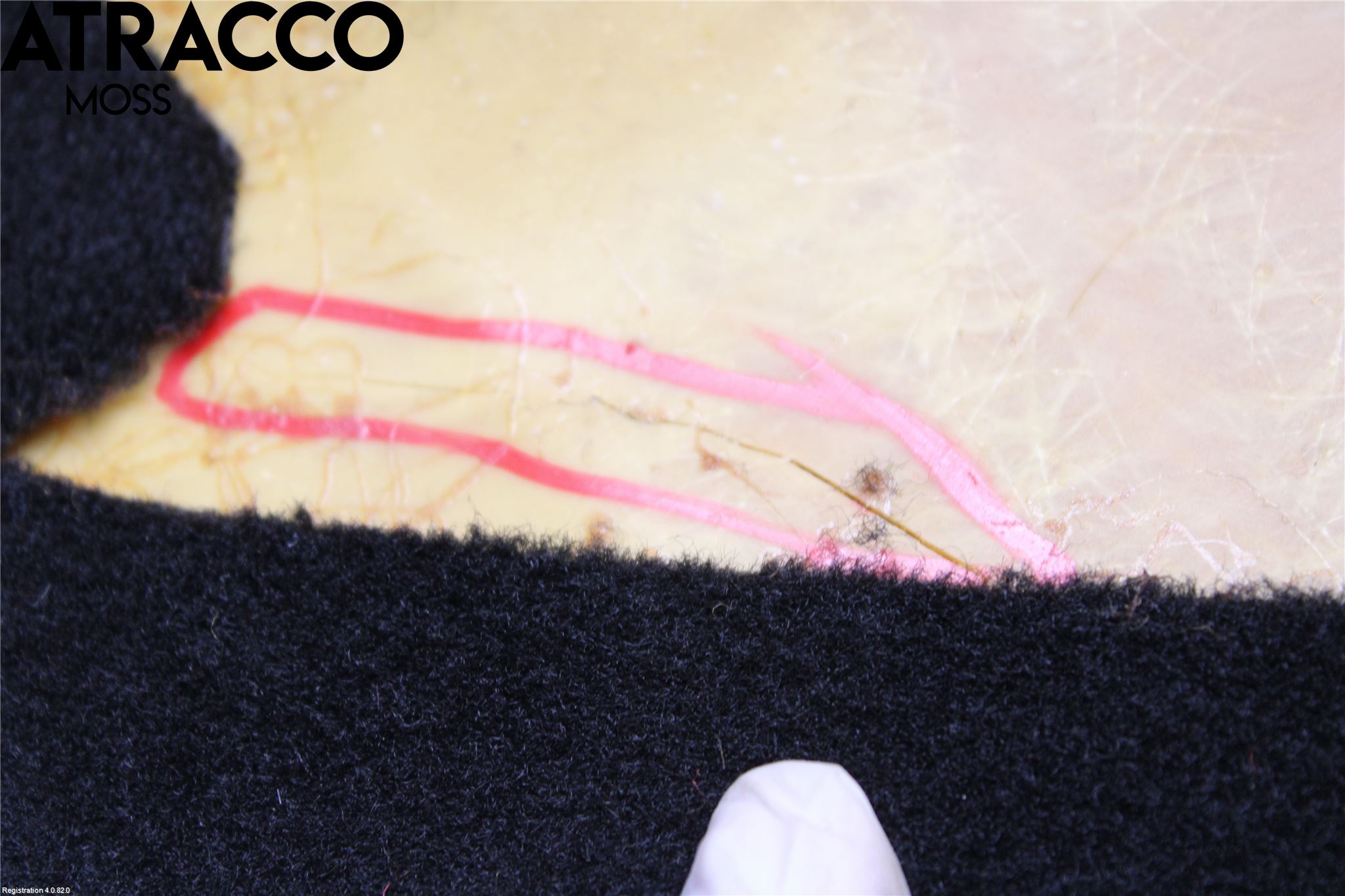 Ferrari ÖVRIGT Innr Øvrig