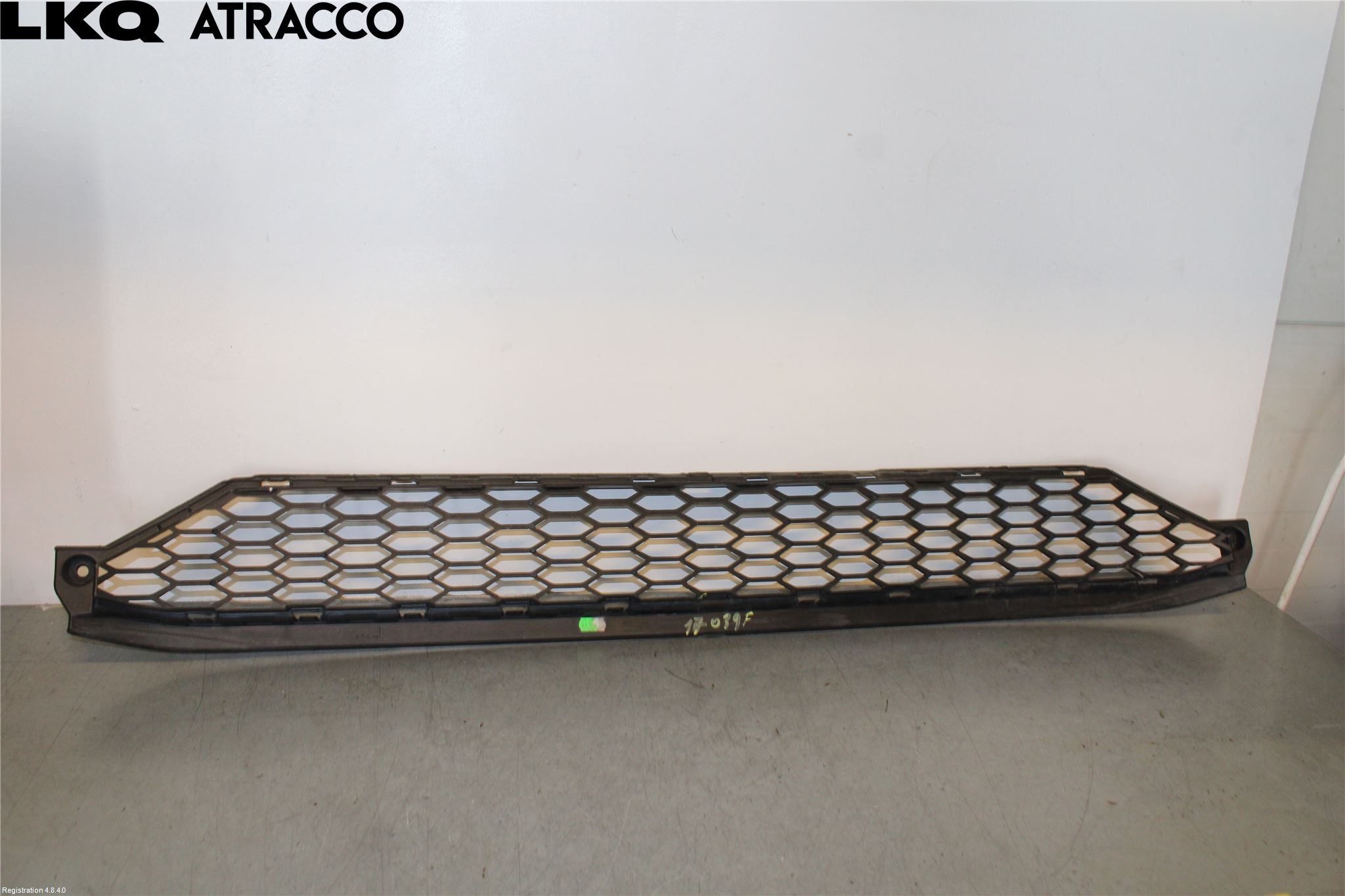 Jaguar I-PACE 18- Grill-Gitter