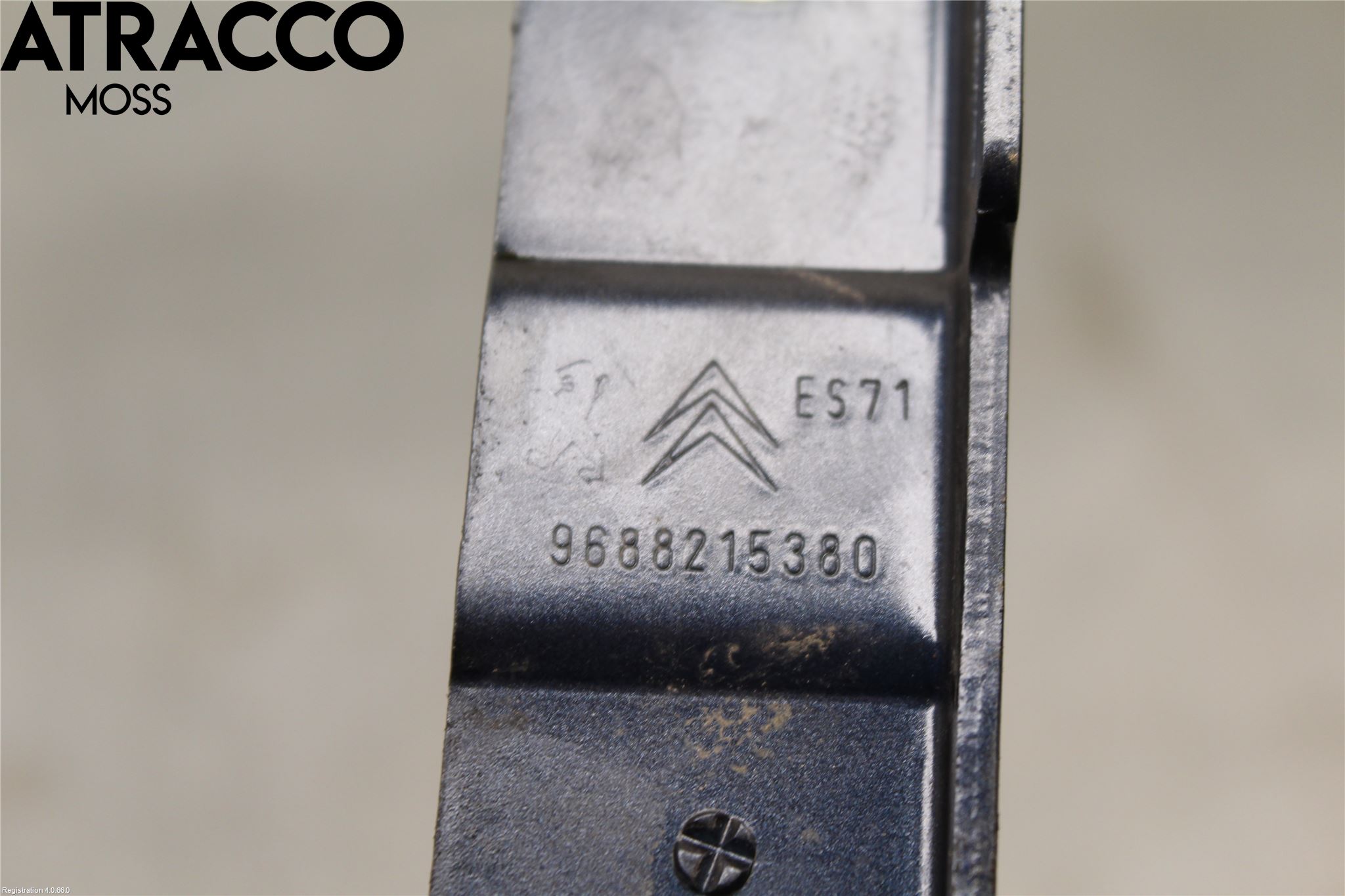 Citroen C5 08-17 Panser Hengsel - Hengsler