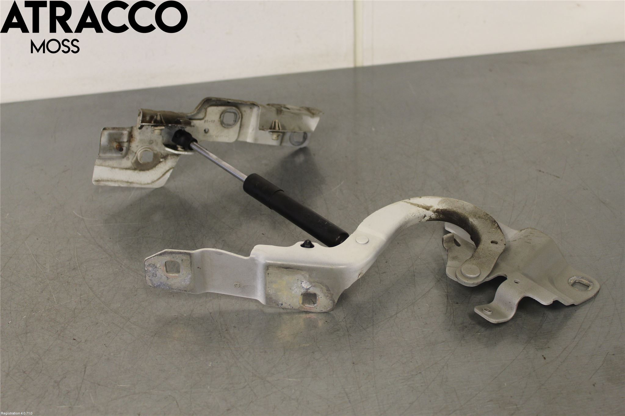 Renault ZOE/E-TECH 13- Panser Hengsel - Hengsler