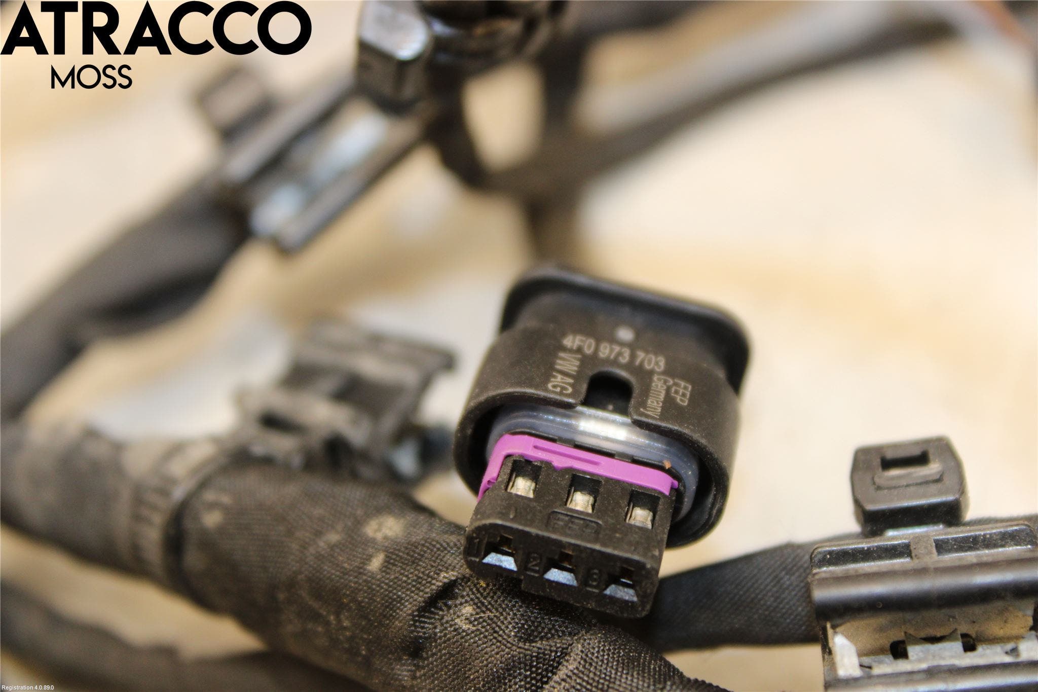 Audi E-TRON, S GE 19- Ledningsnett