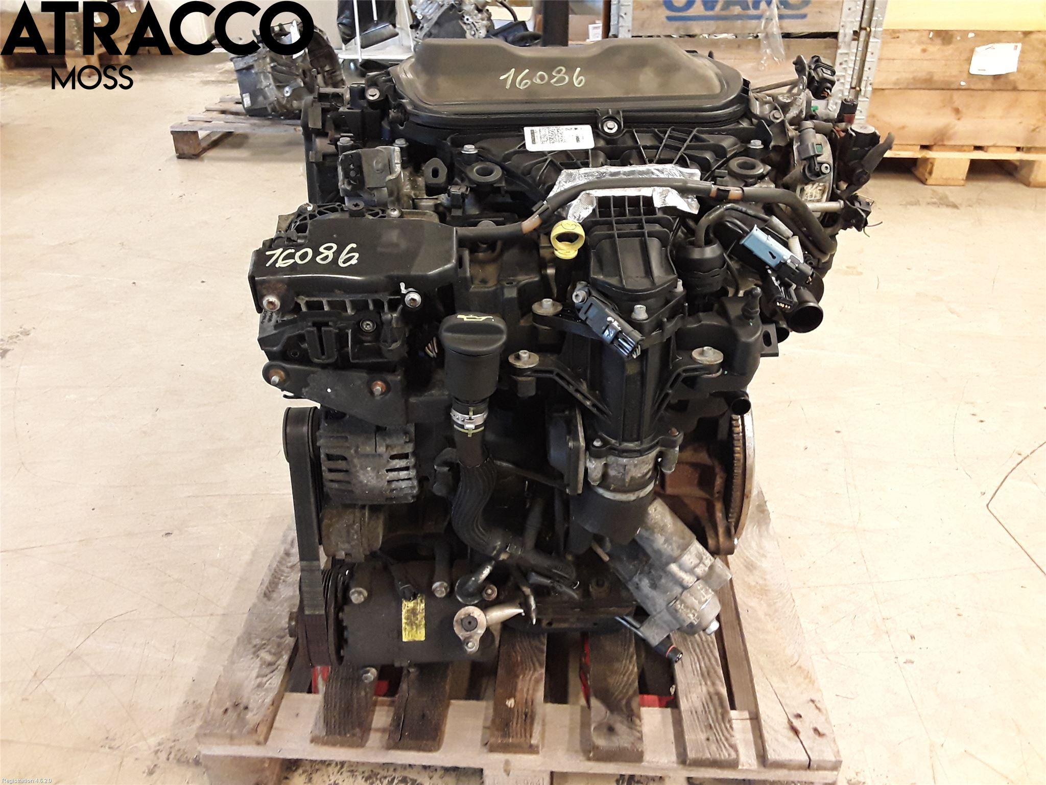 Ford FOCUS 11-14 Motor Diesel