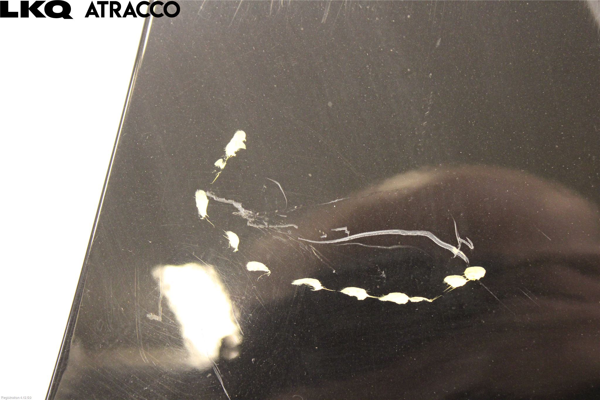 Volkswagen VW GOLF / E-GOLF VII 13-20 Skjerm Foran Venstre