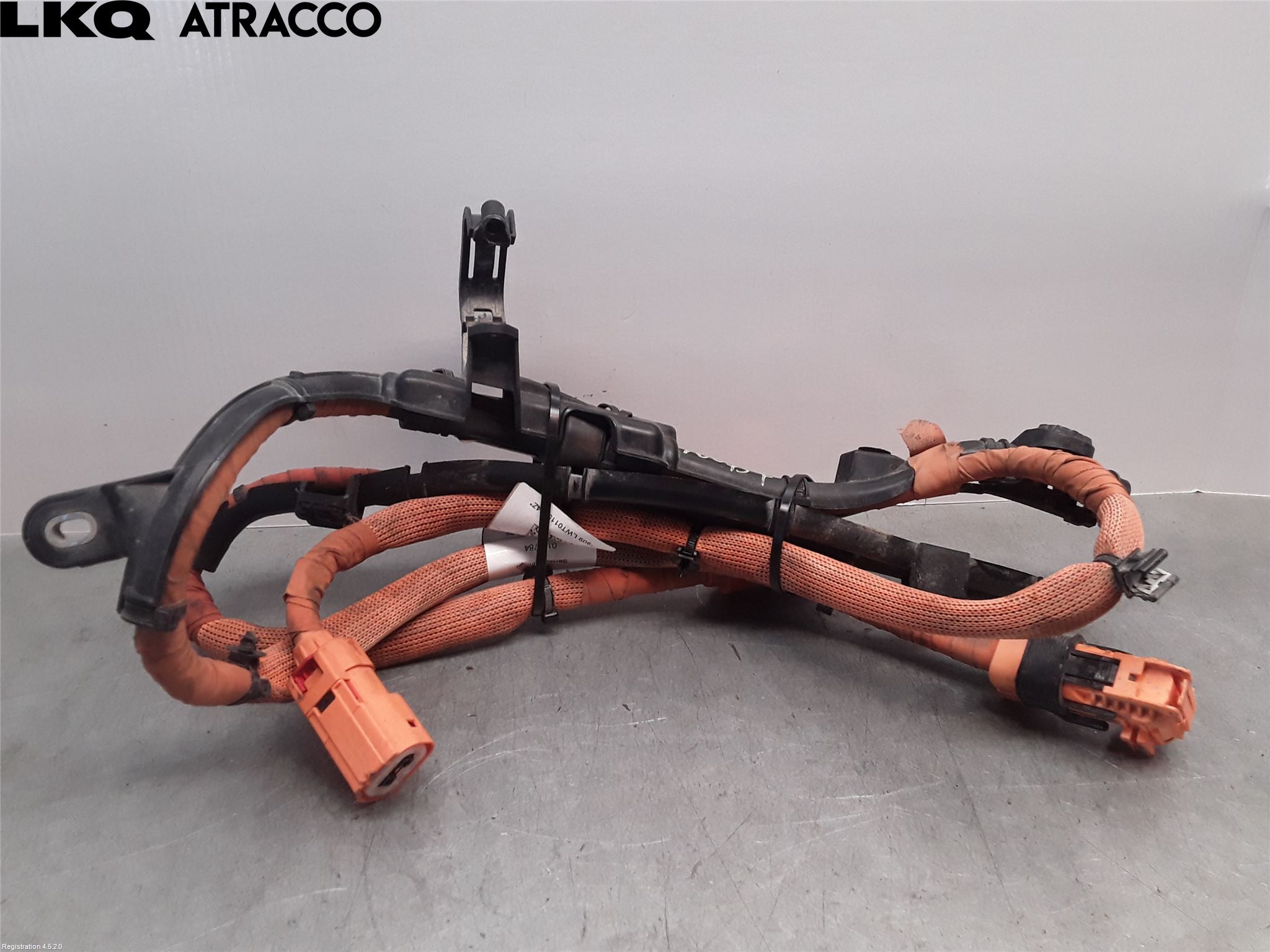 Audi E-TRON, S GE 19- Ledningsnett