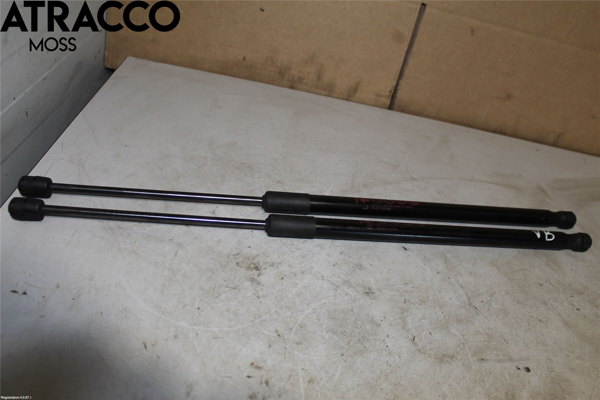 Nissan LEAF 18- Bakluke Del Øvre (2Delt)