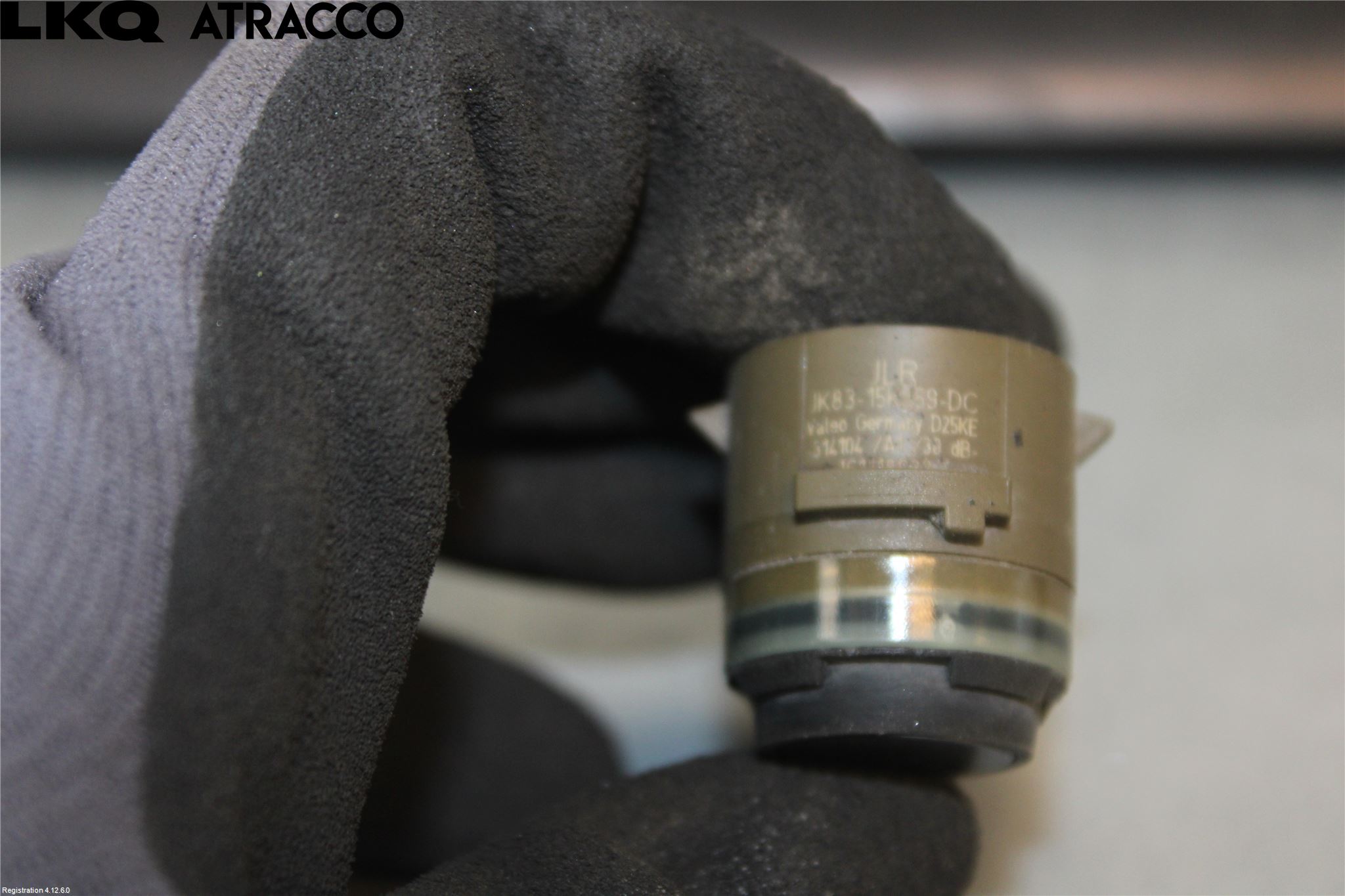 Jaguar F-PACE Sensor Ryggesensor