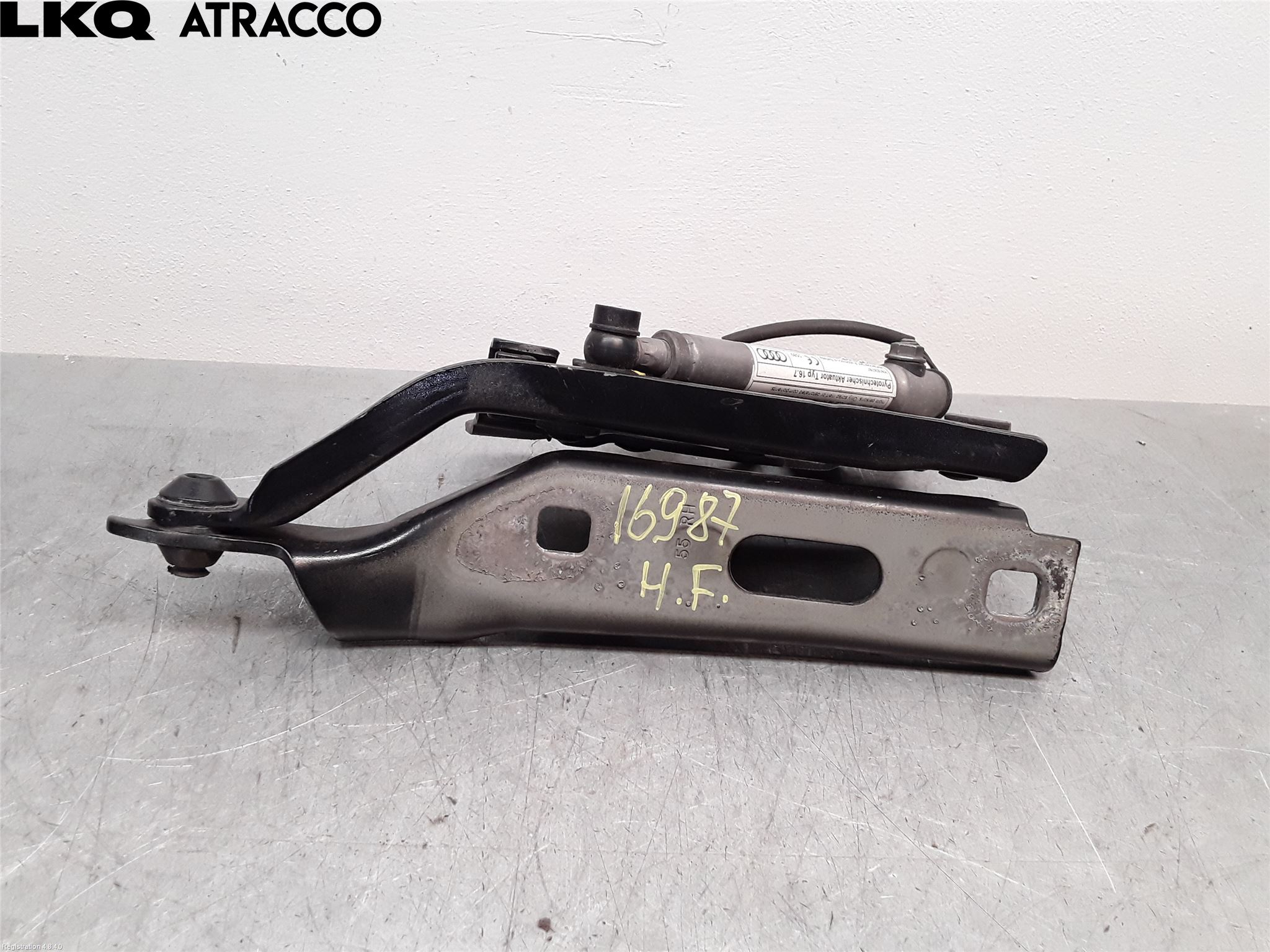 Audi A3/S3 05-13 Panser Hengsel - Hengsler