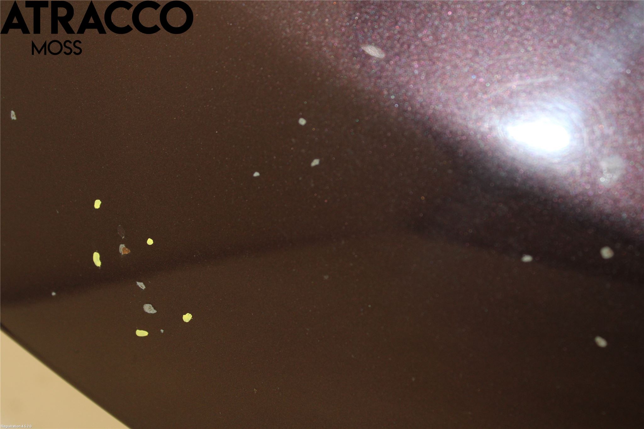 Toyota URBAN CRUISER Panser