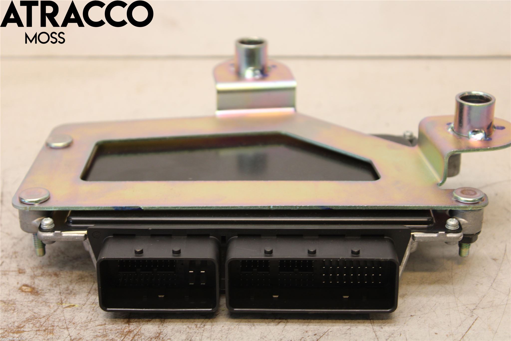 Nissan LEAF 18- Styreenhet Innsprøytning