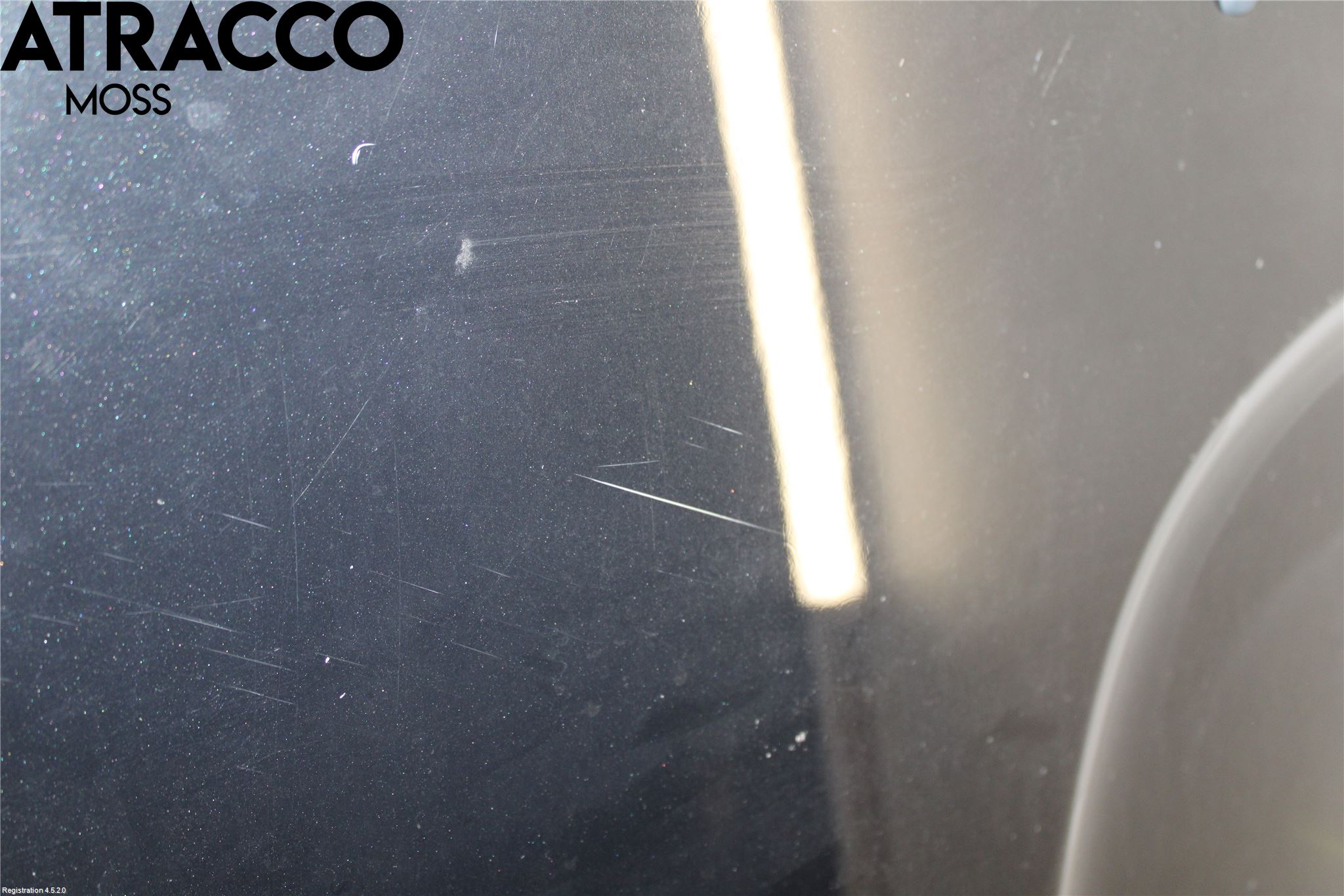 BMW X3 E83     03-10 Panser