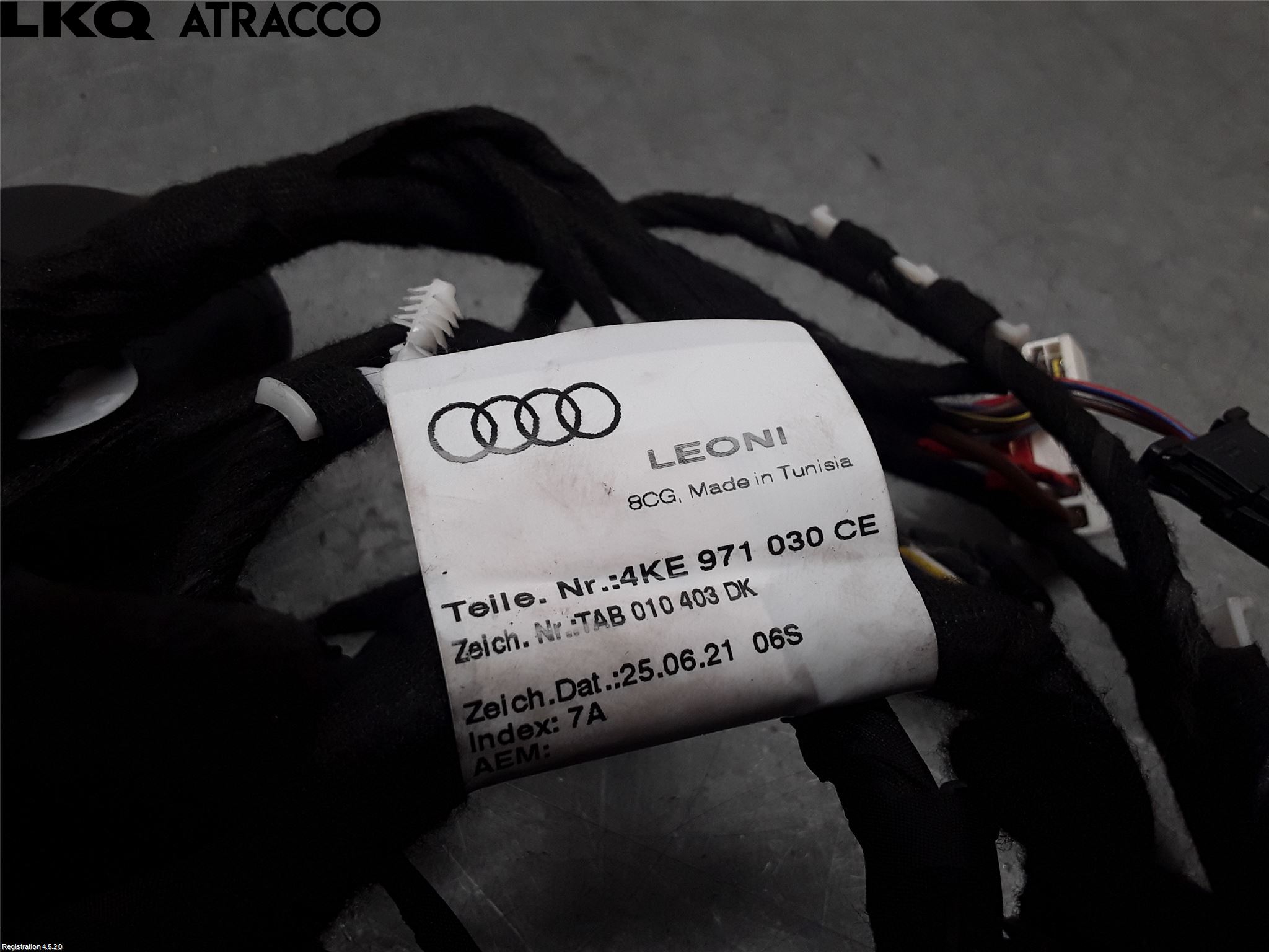 Audi E-TRON, S GE 19- Ledningsnett