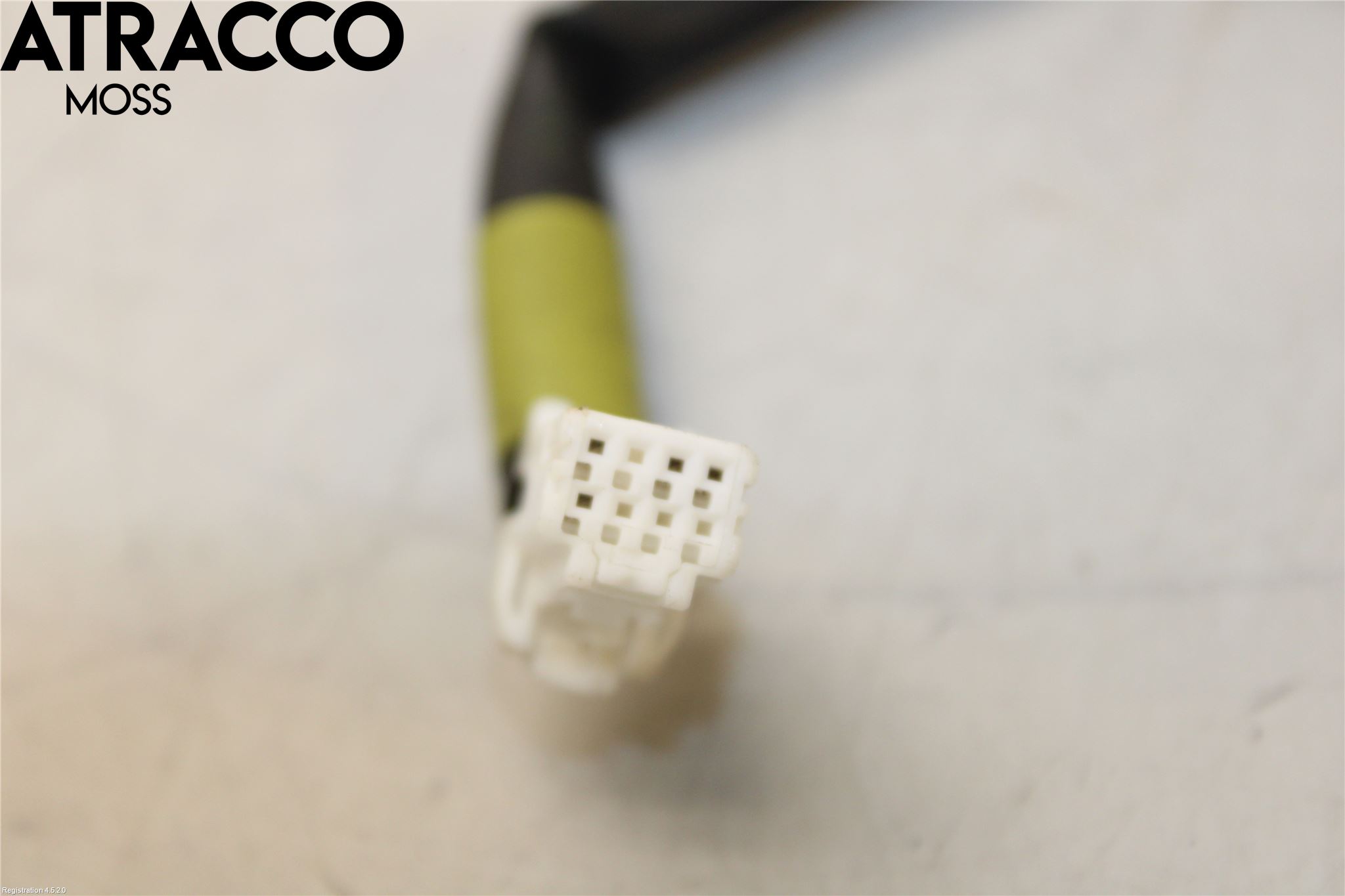 Nissan LEAF 18- Parkeringshjelp Kamera