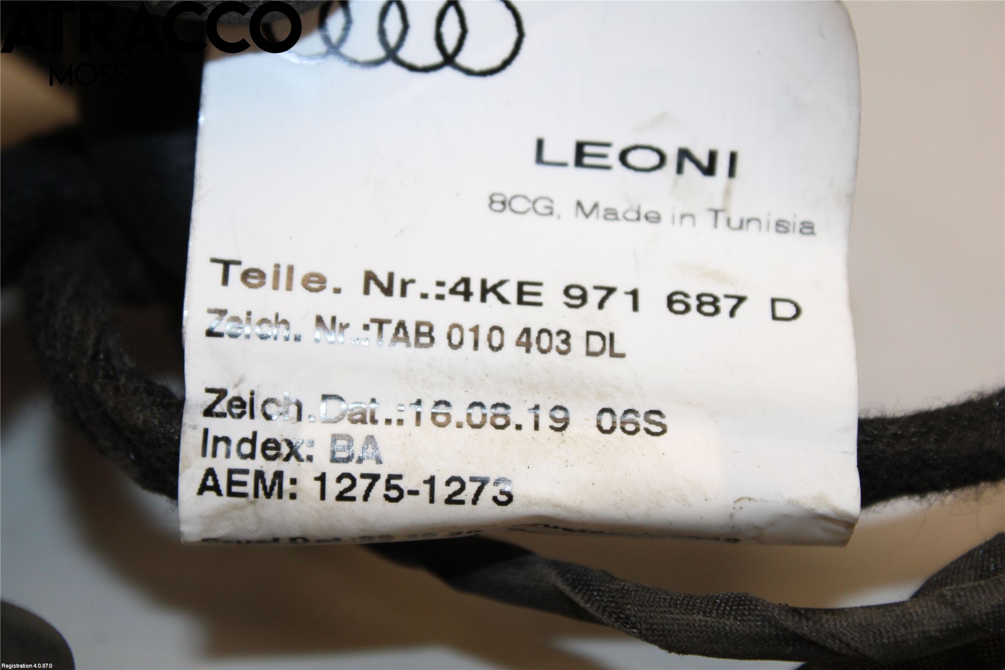 Audi E-TRON, S GE 19- Ledningsnett