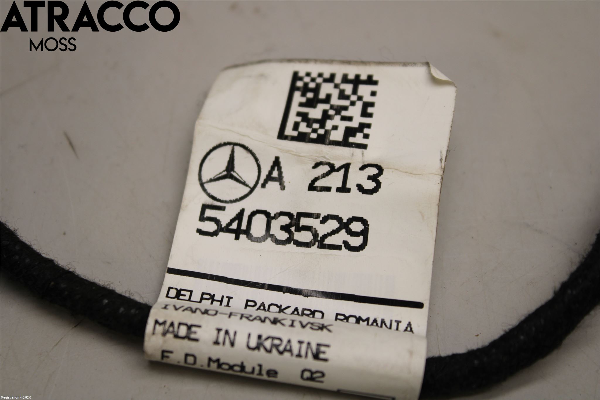 Mercedes-Benz MB E-KLASS (W213) 16-23 Ledningsnett