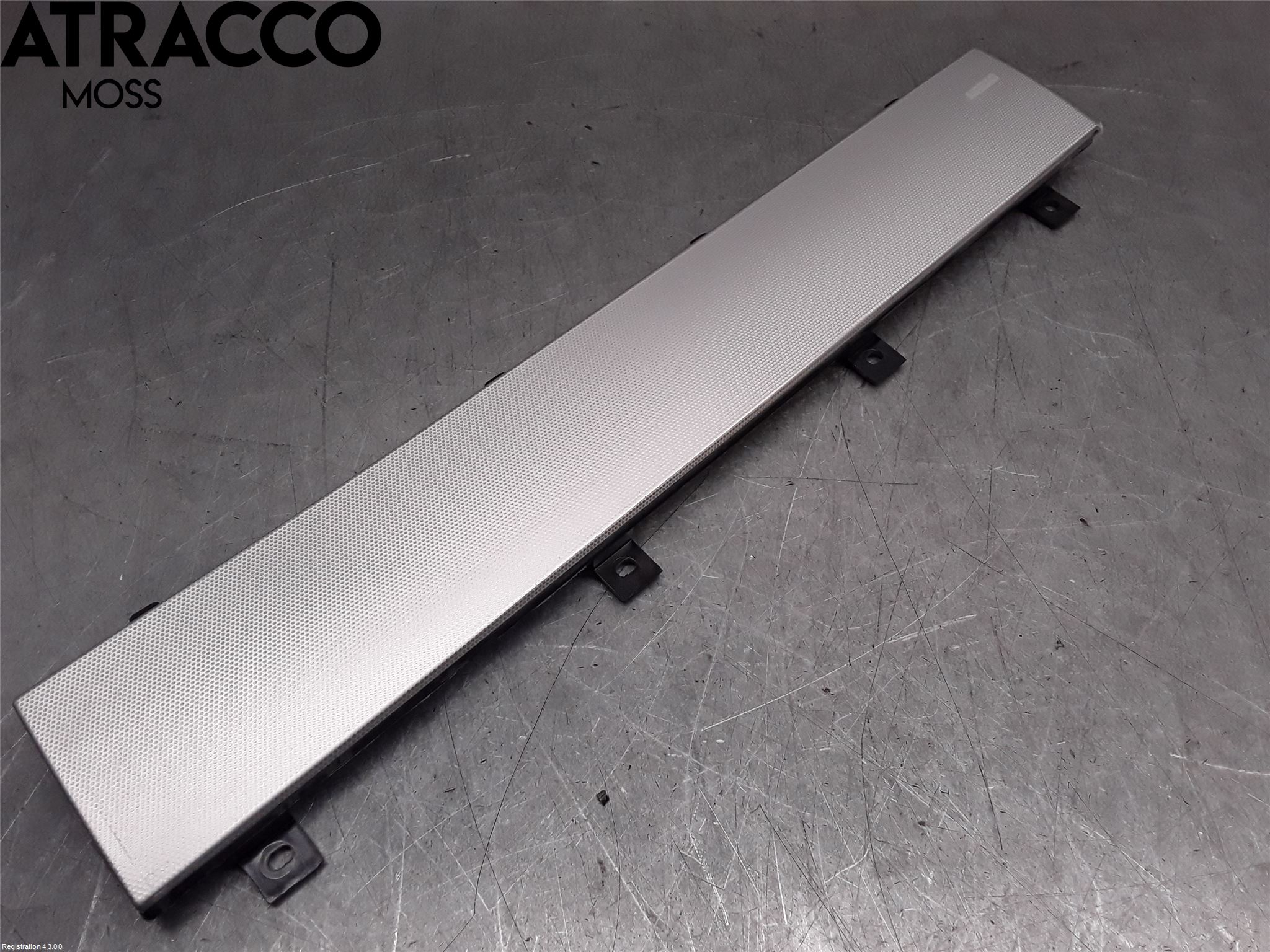 Landrover LAND ROVER RANGE ROVER EVOQUE (L538) 11-18 Frontrute Dekorlist