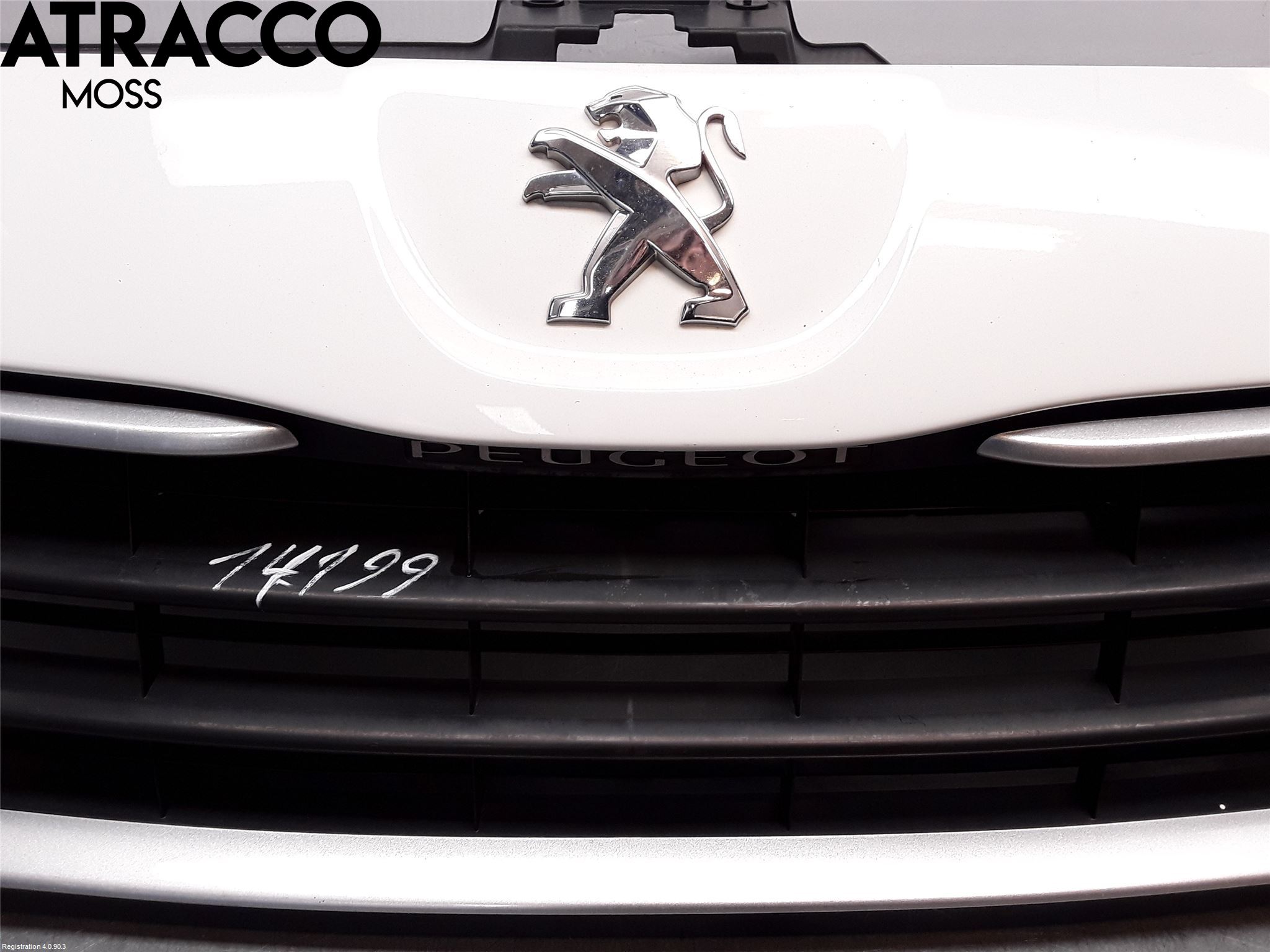 Peugeot EXPERT 07-14 Grill Komplett