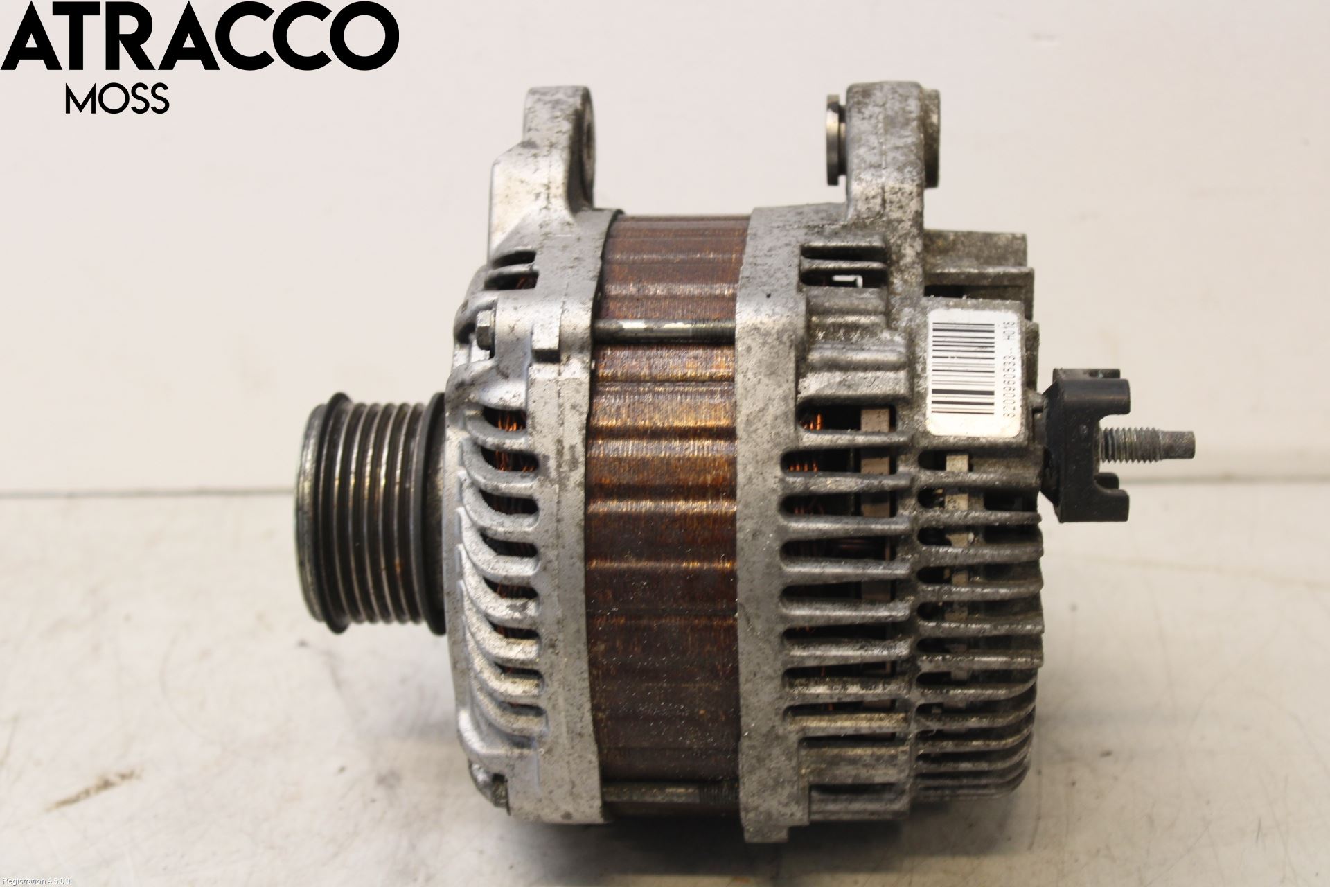 Renault SCÉNIC III / GRAND SCÉNIC 09-16 Dynamo