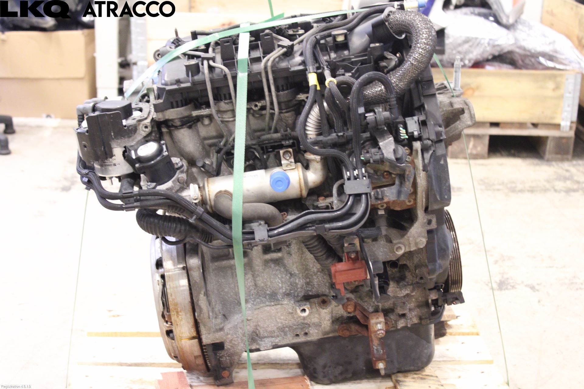 Ford FOCUS 08-11 Motor Diesel