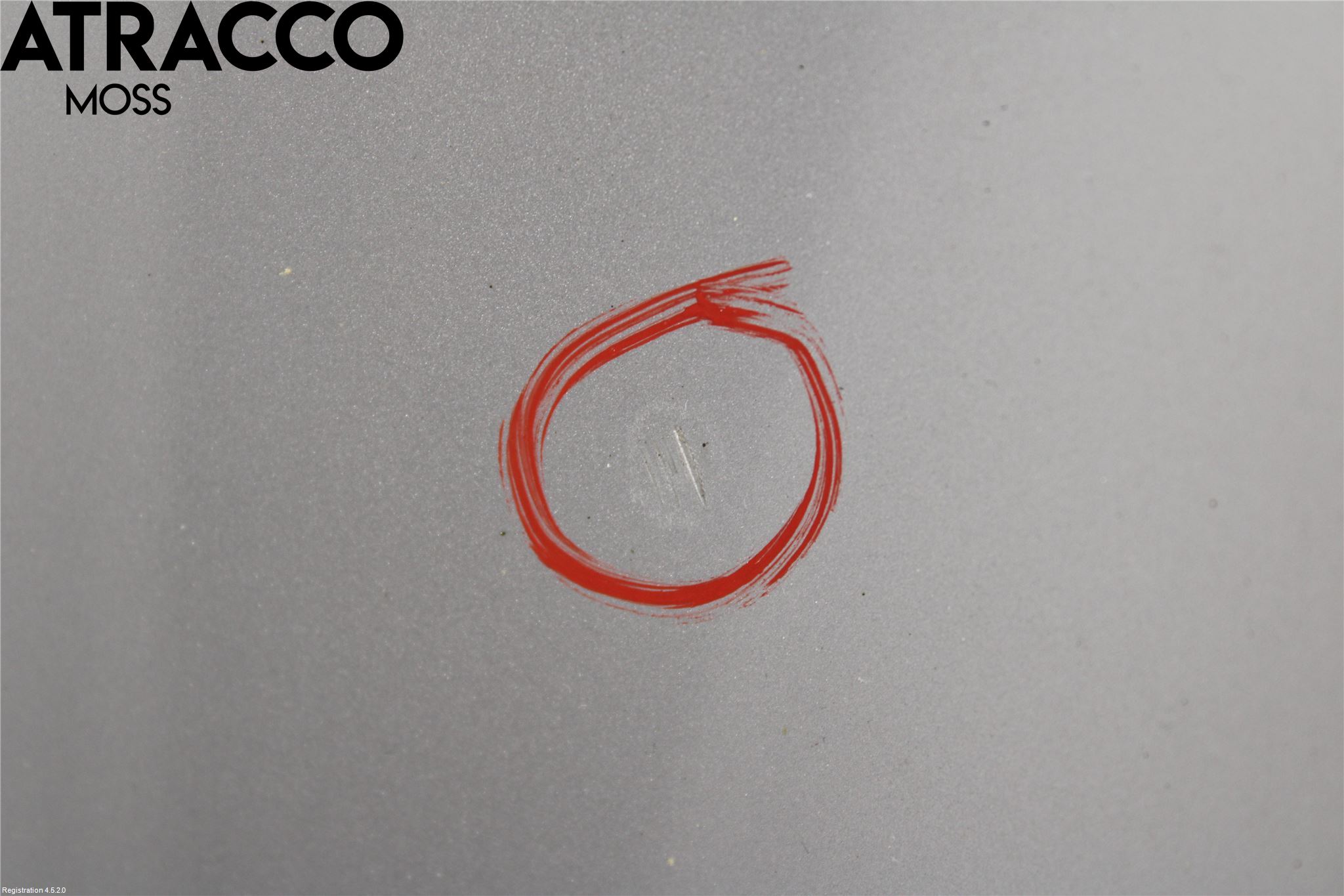 Mercedes-Benz MB E-KLASS (W211) 02-09 Panser