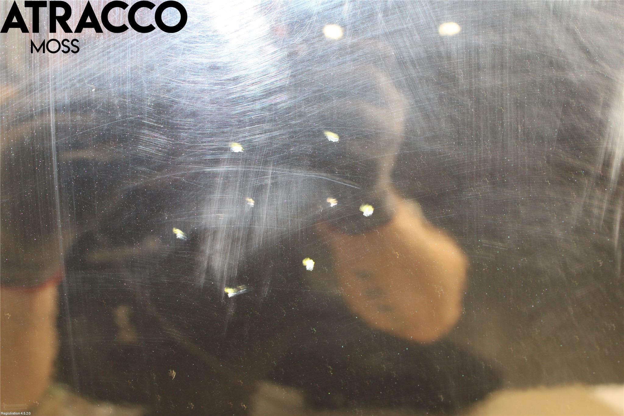 Hyundai i10 BA 14-16 Dør 4D Bak Venstre