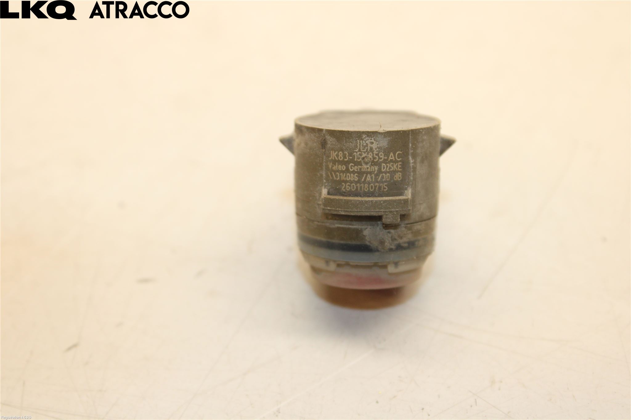 Jaguar I-PACE 18- Sensor Ryggesensor