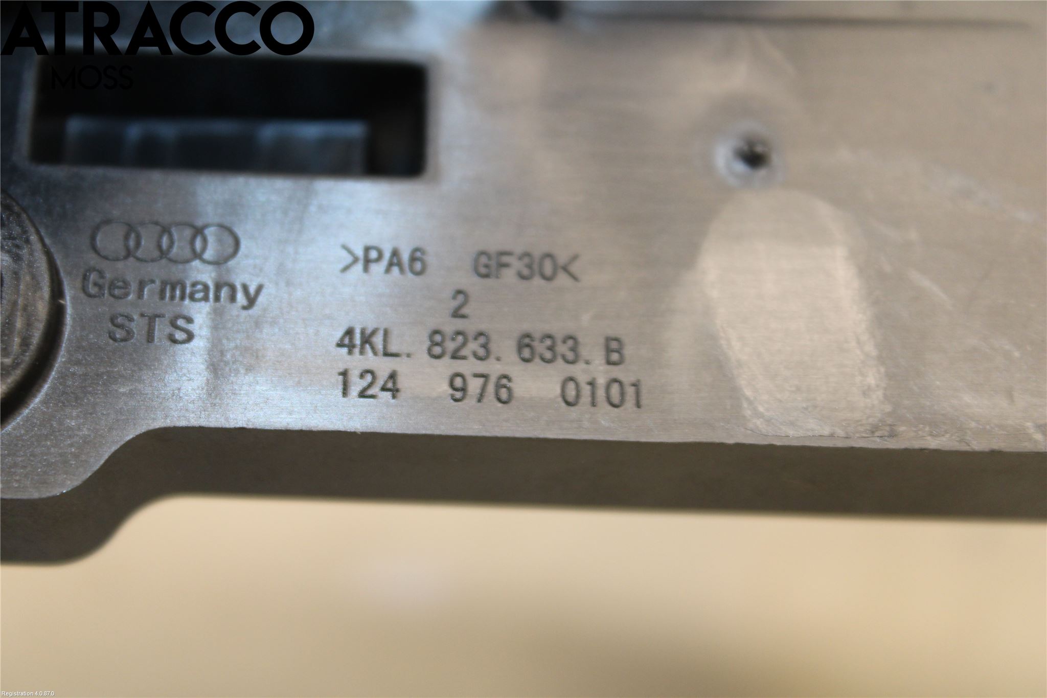 Audi E-TRON, S GE 19- Wire Panser Wire