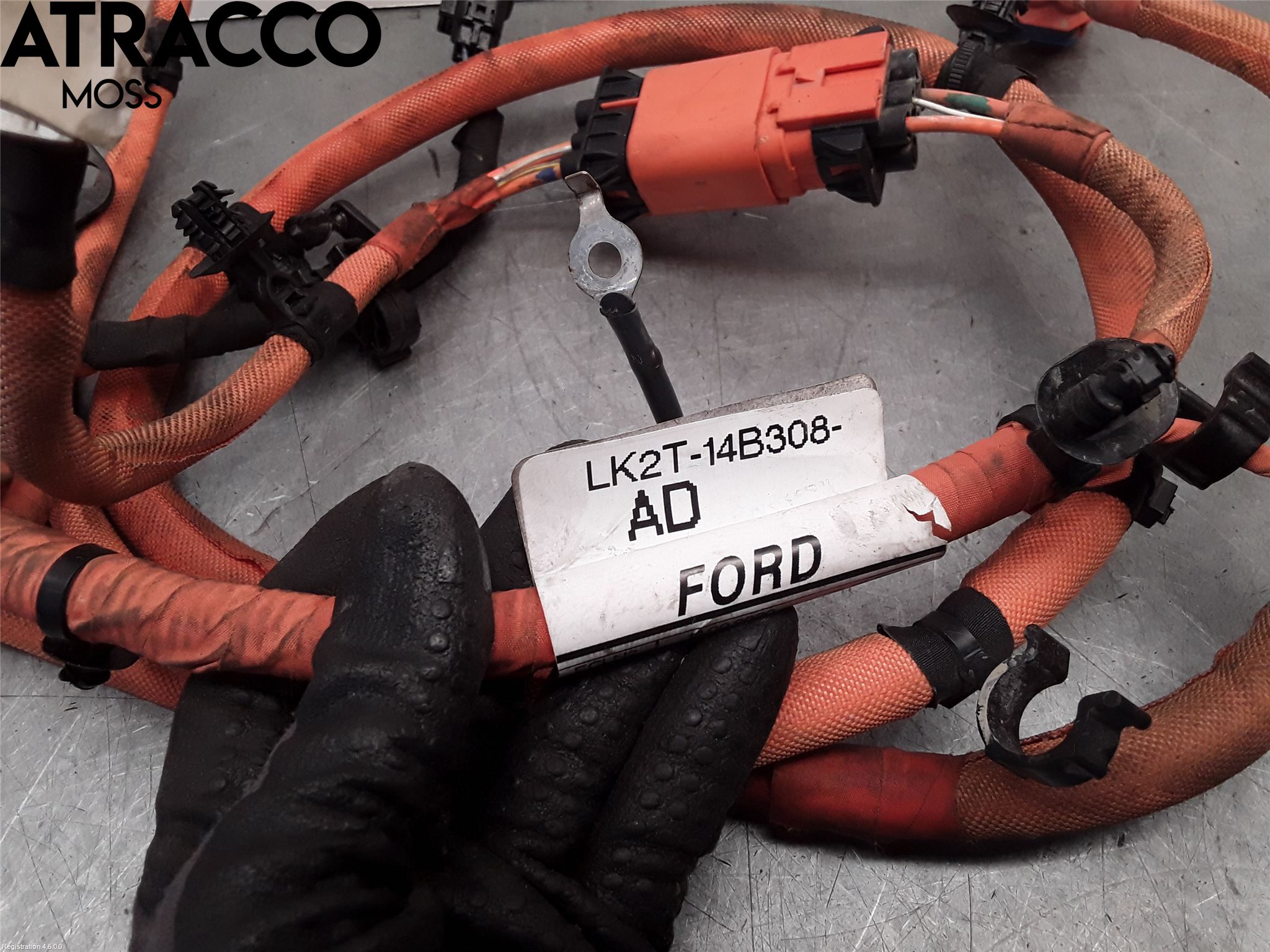 Ford TRANSIT/TOURNEO CUSTOM 13-24 Ledningsnett