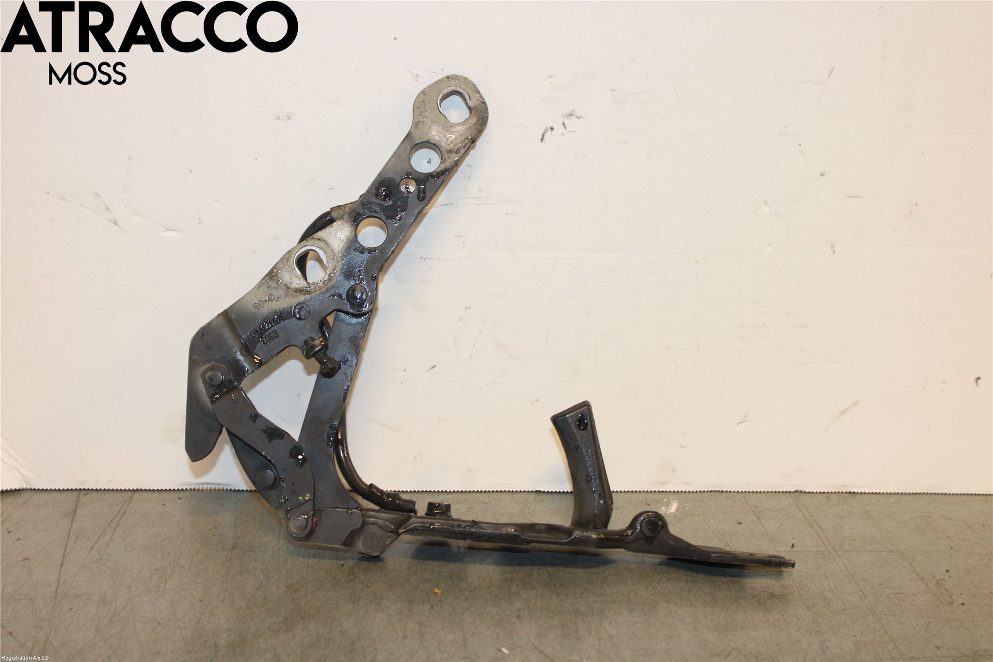 BMW X3 E83     03-10 Panser Hengsel - Hengsler