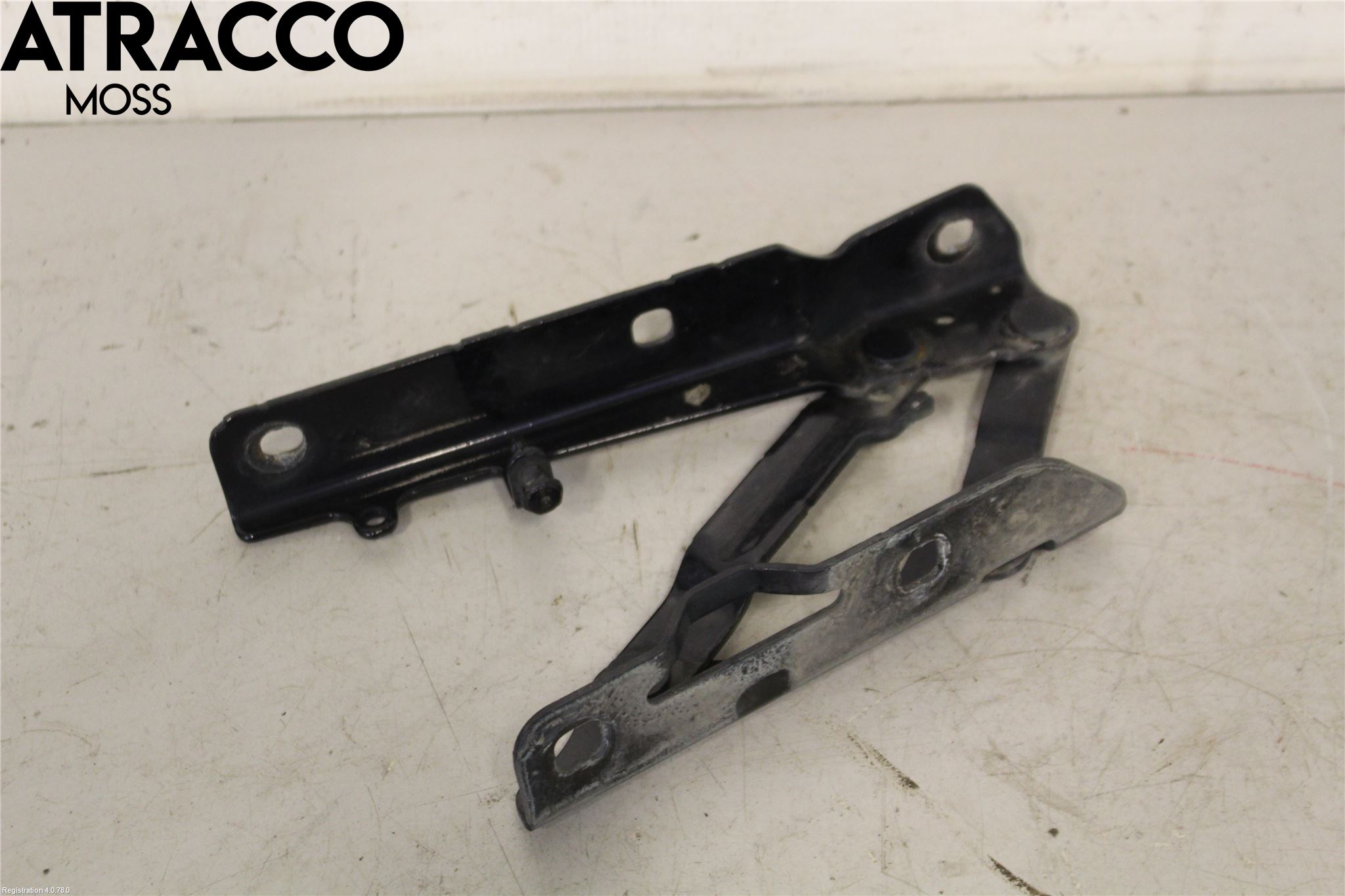 Tesla MODEL S 13- Panser Hengsel - Hengsler