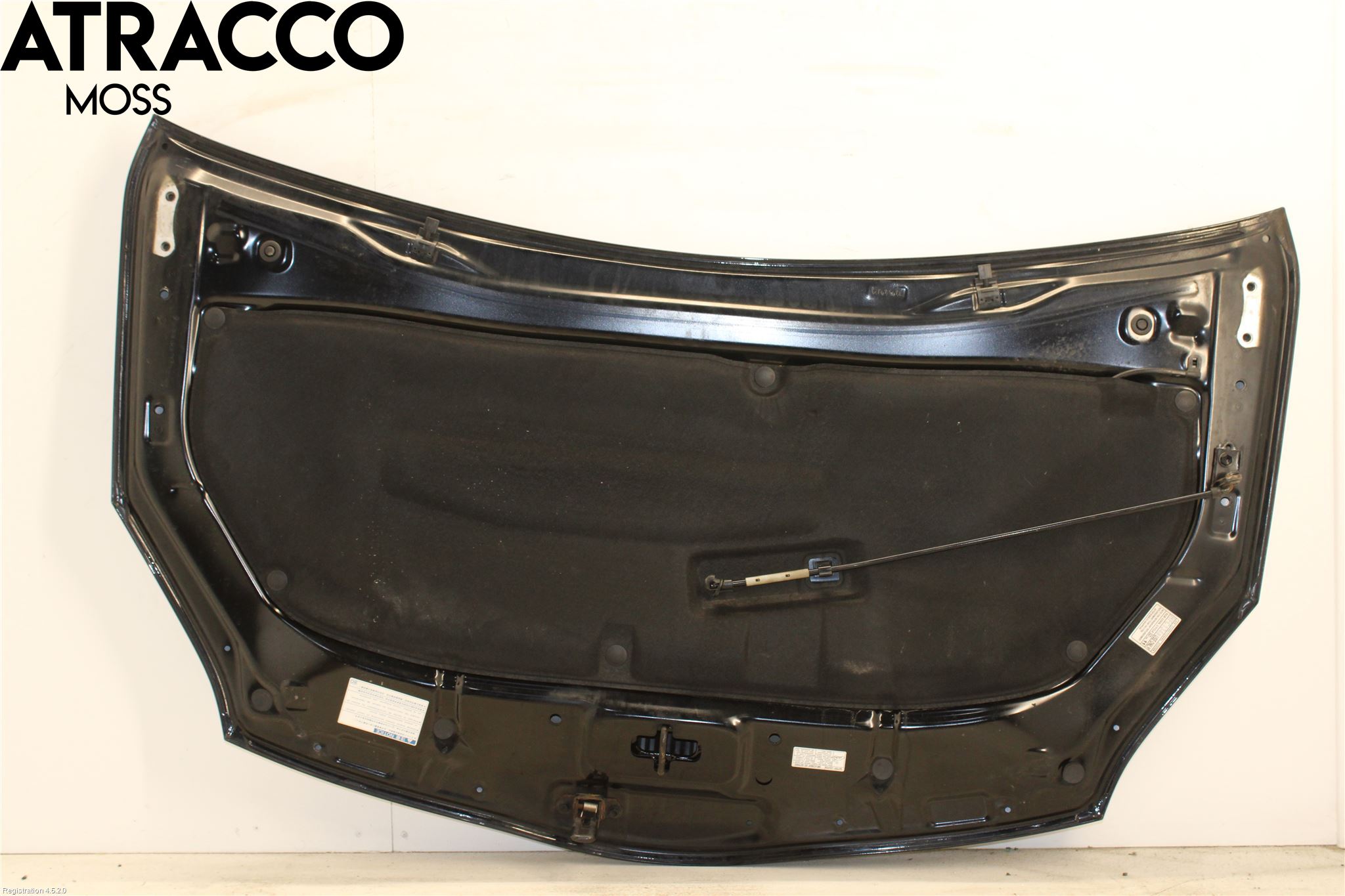 Toyota PRIUS ZVW30 09-20 Panser