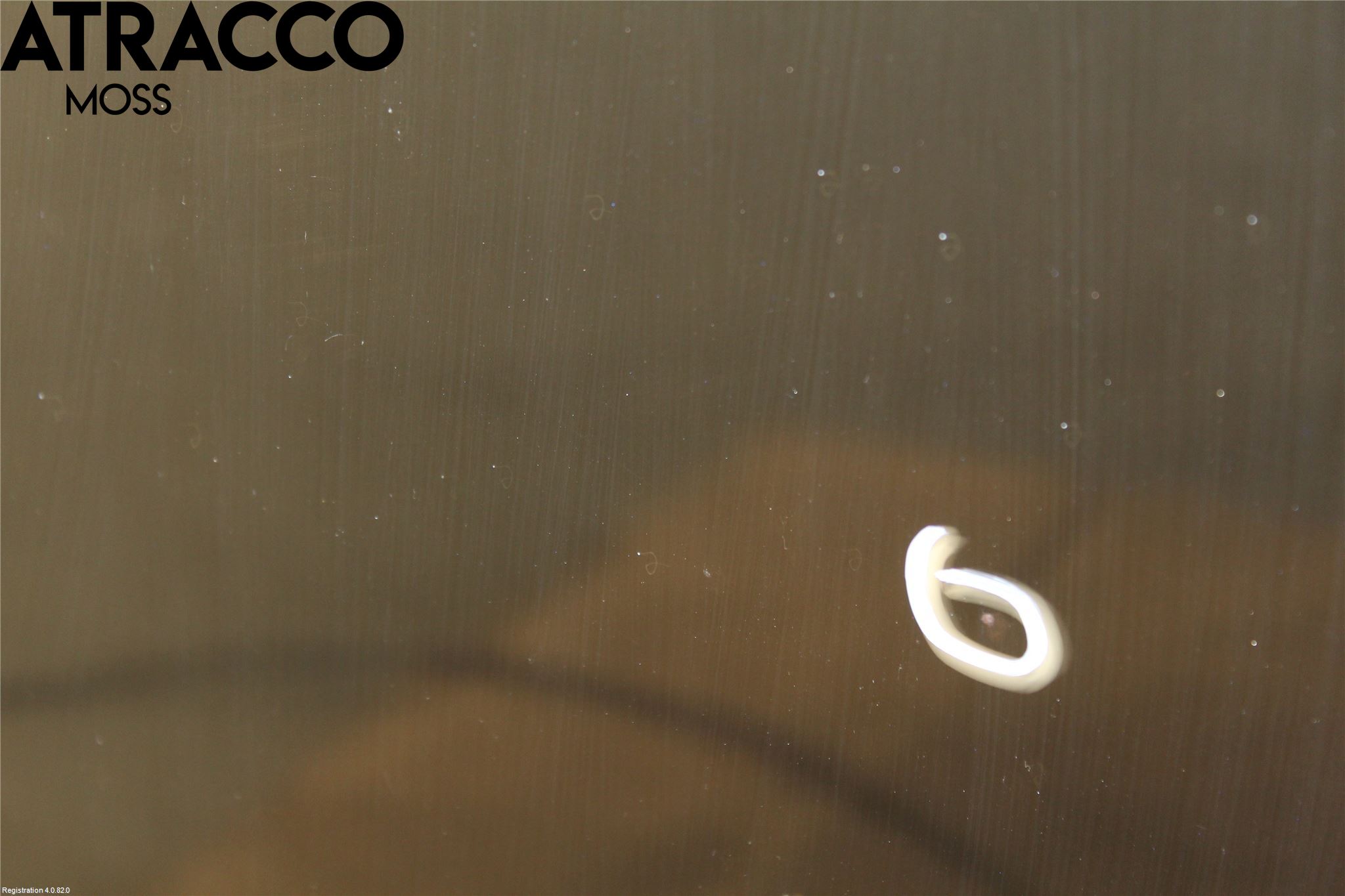 Ford FOCUS 08-11 Panser