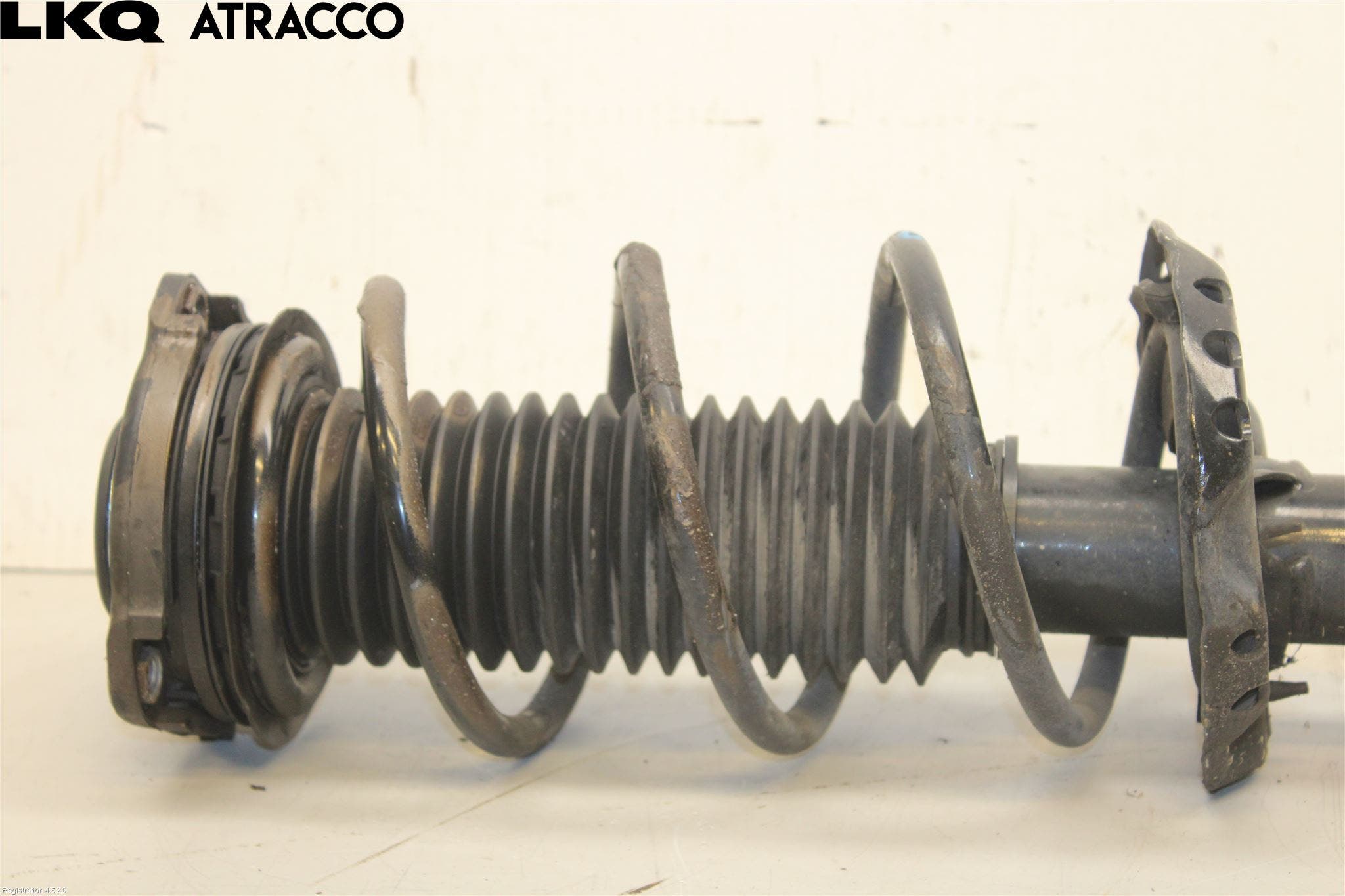 MG 4 23- Fjærbein Foran Høyre