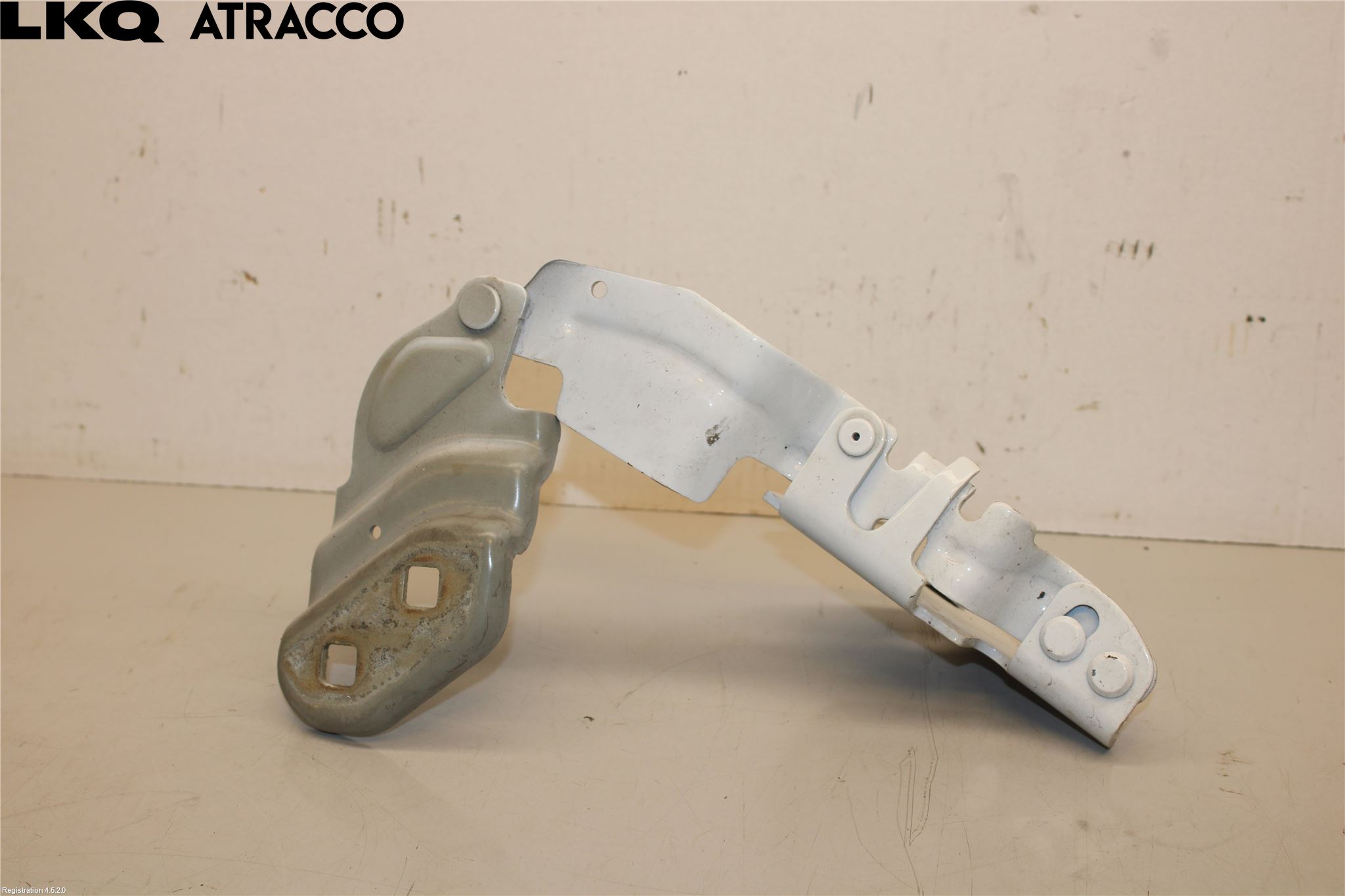 Tesla MODEL 3 17- Panser Hengsel - Hengsler